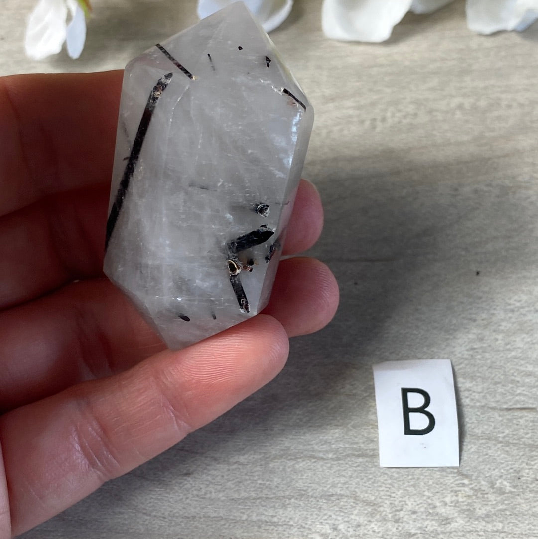 Black Tourmaline in Quartz DTs