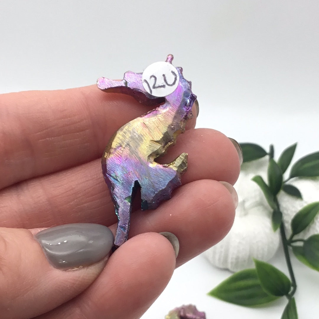 Bismuth Seahorse