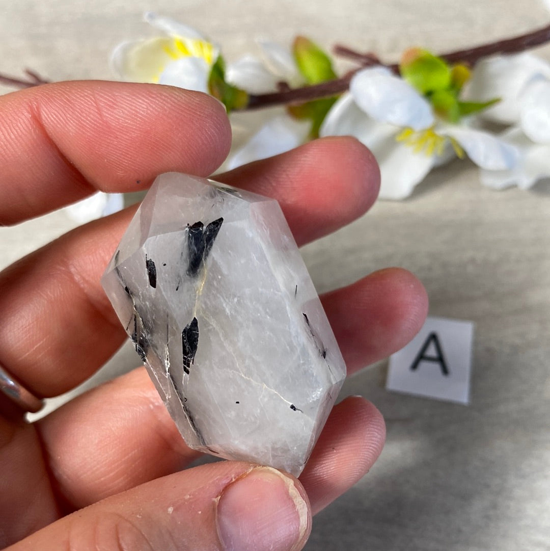 Black Tourmaline in Quartz DTs