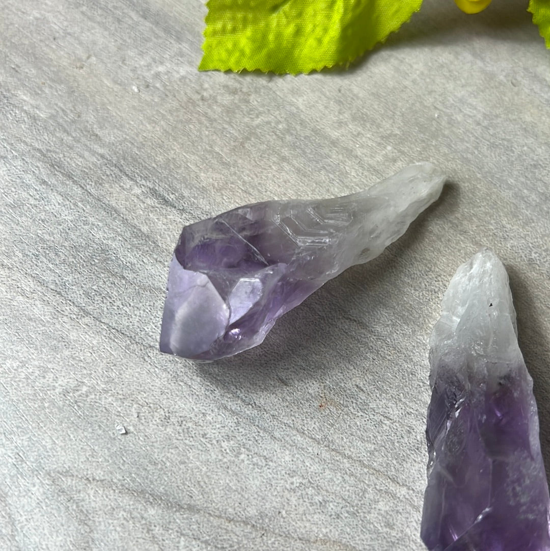 Amethyst Root Tooth