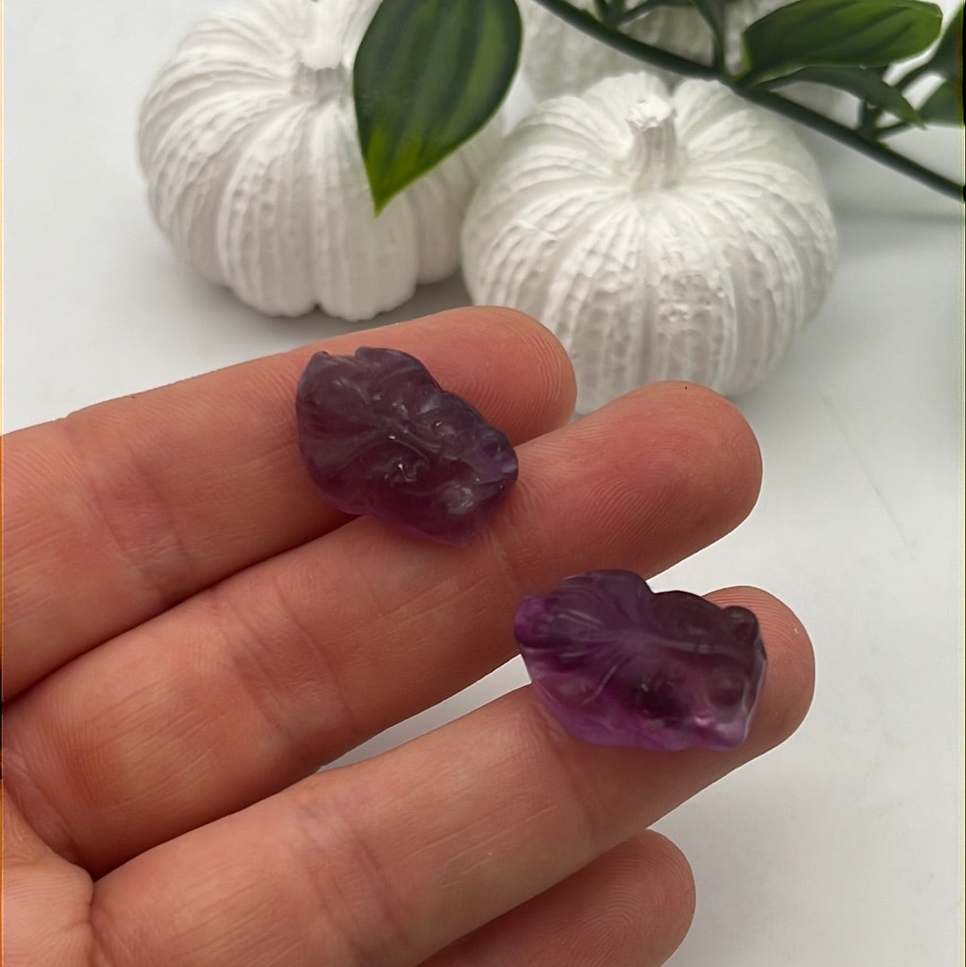 Mini Fluorite Fish