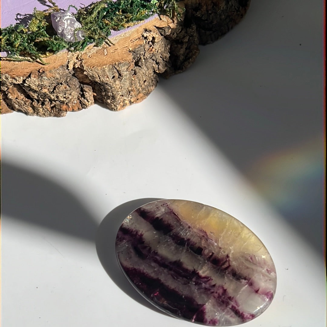 Large Fluorite Purple Palm
