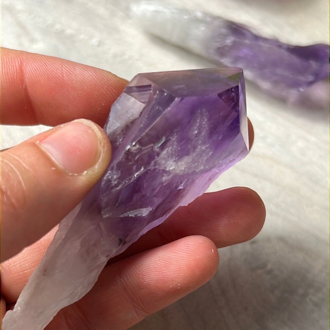 Amethyst Root Tooth