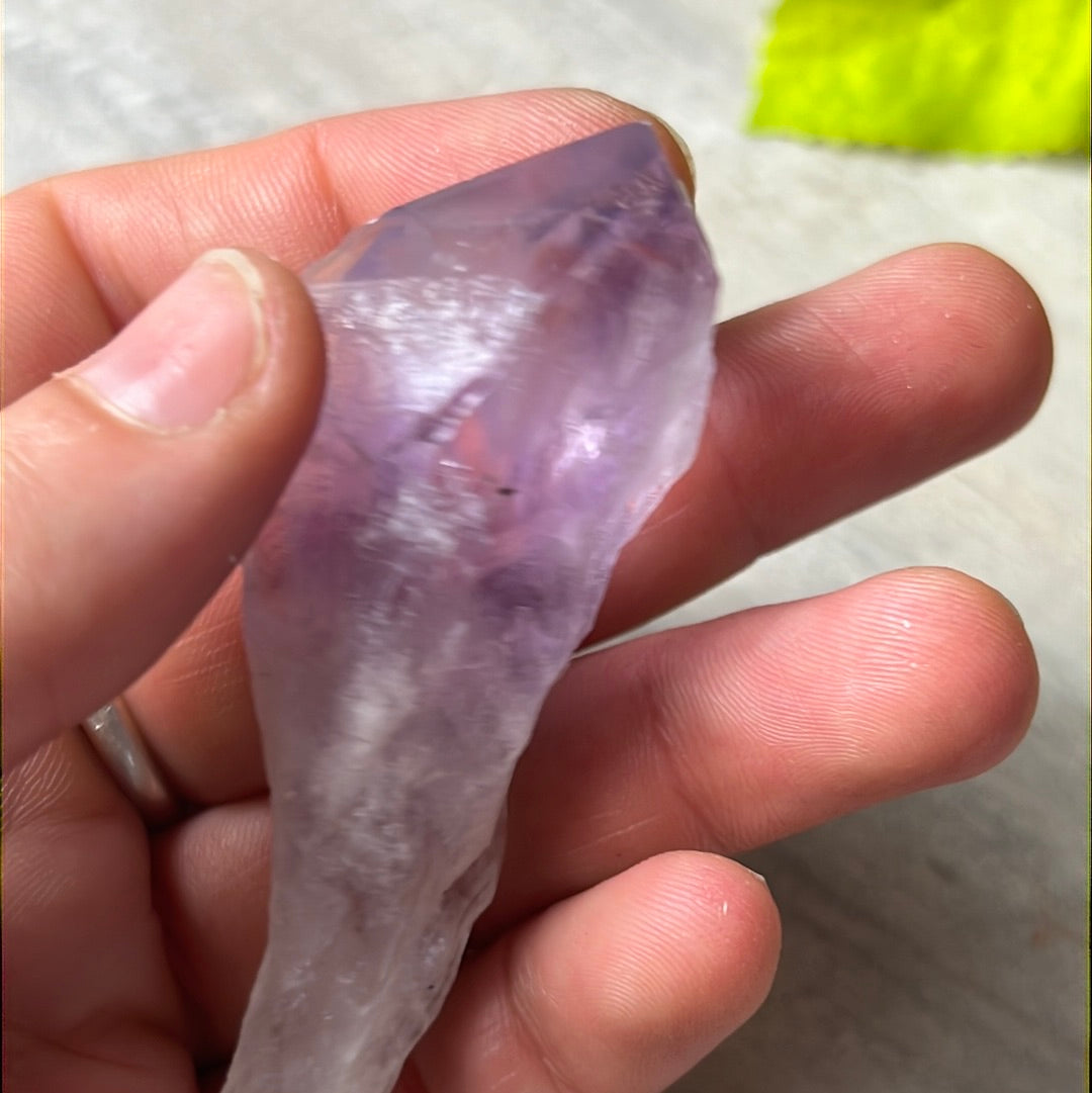 Amethyst Root Tooth