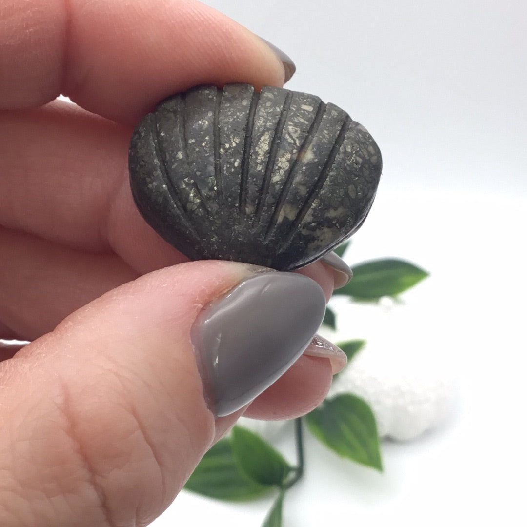 Pyrite Shell