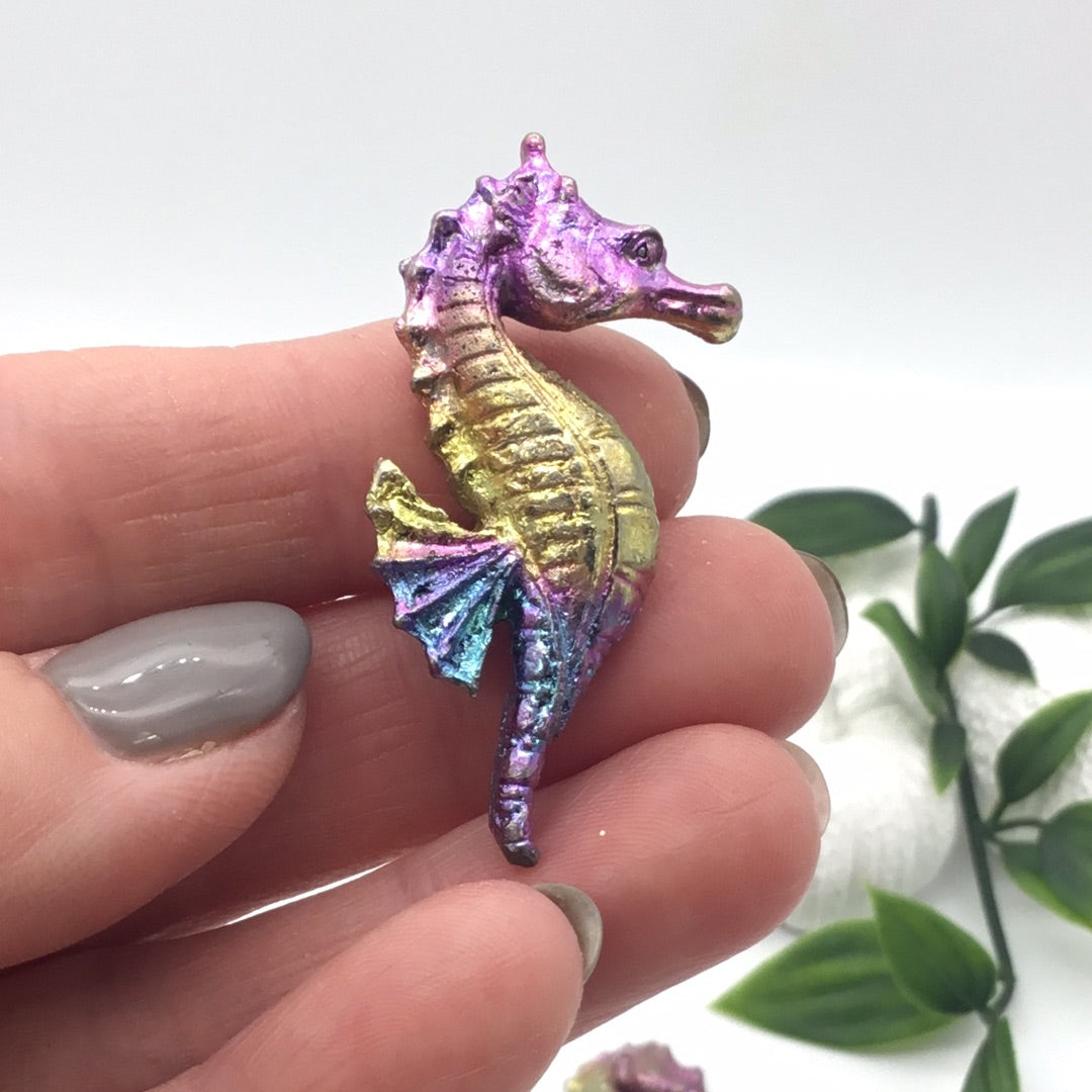 Bismuth Seahorse