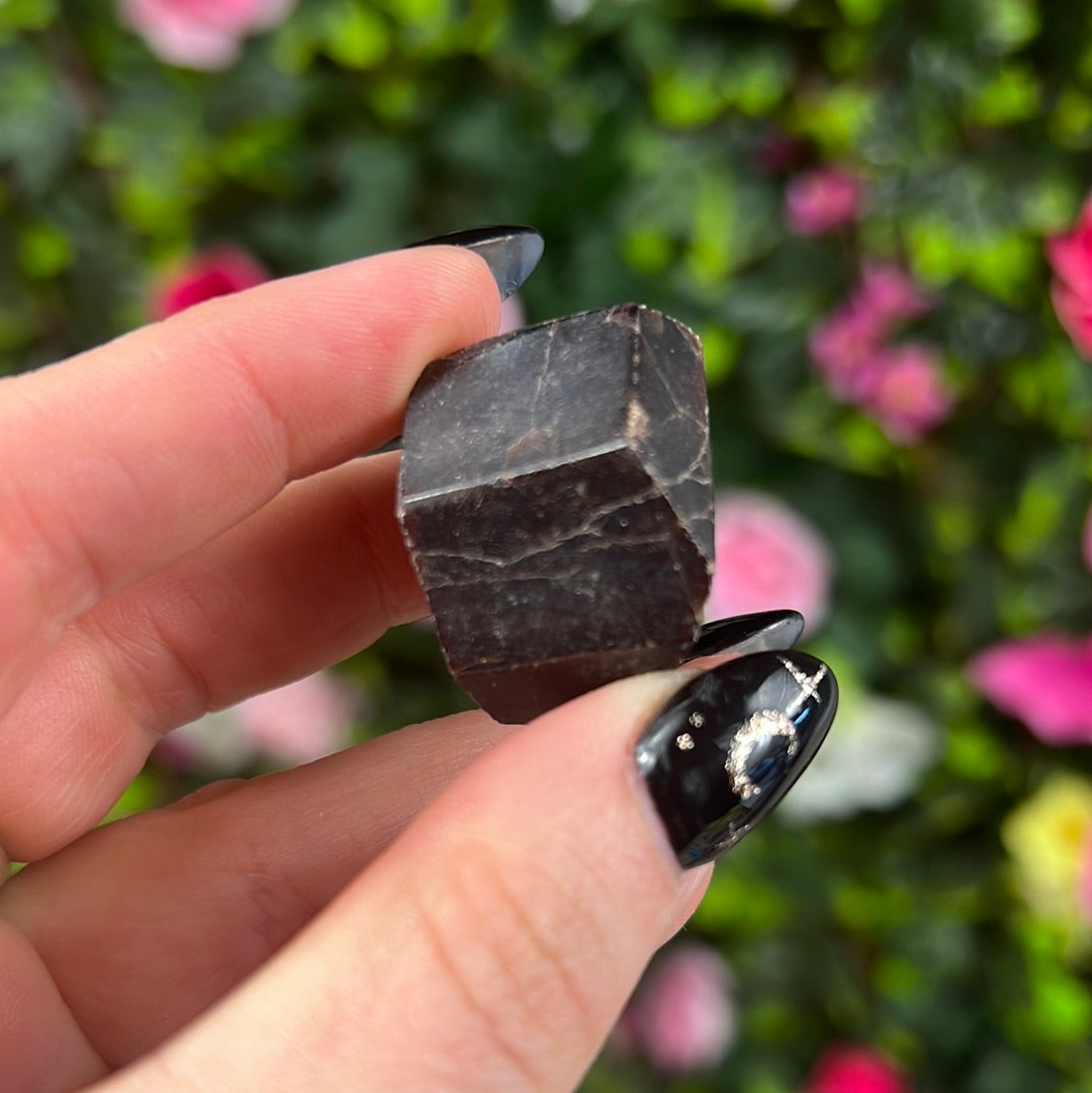 Garnet Chunk Specimen Freeform