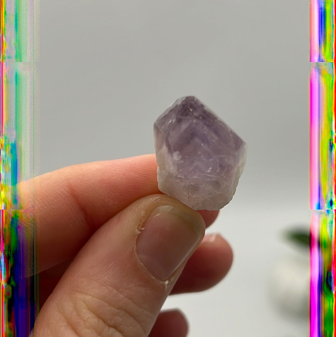 Mini Amethyst Phantom Root Tooth tumble tumblestone