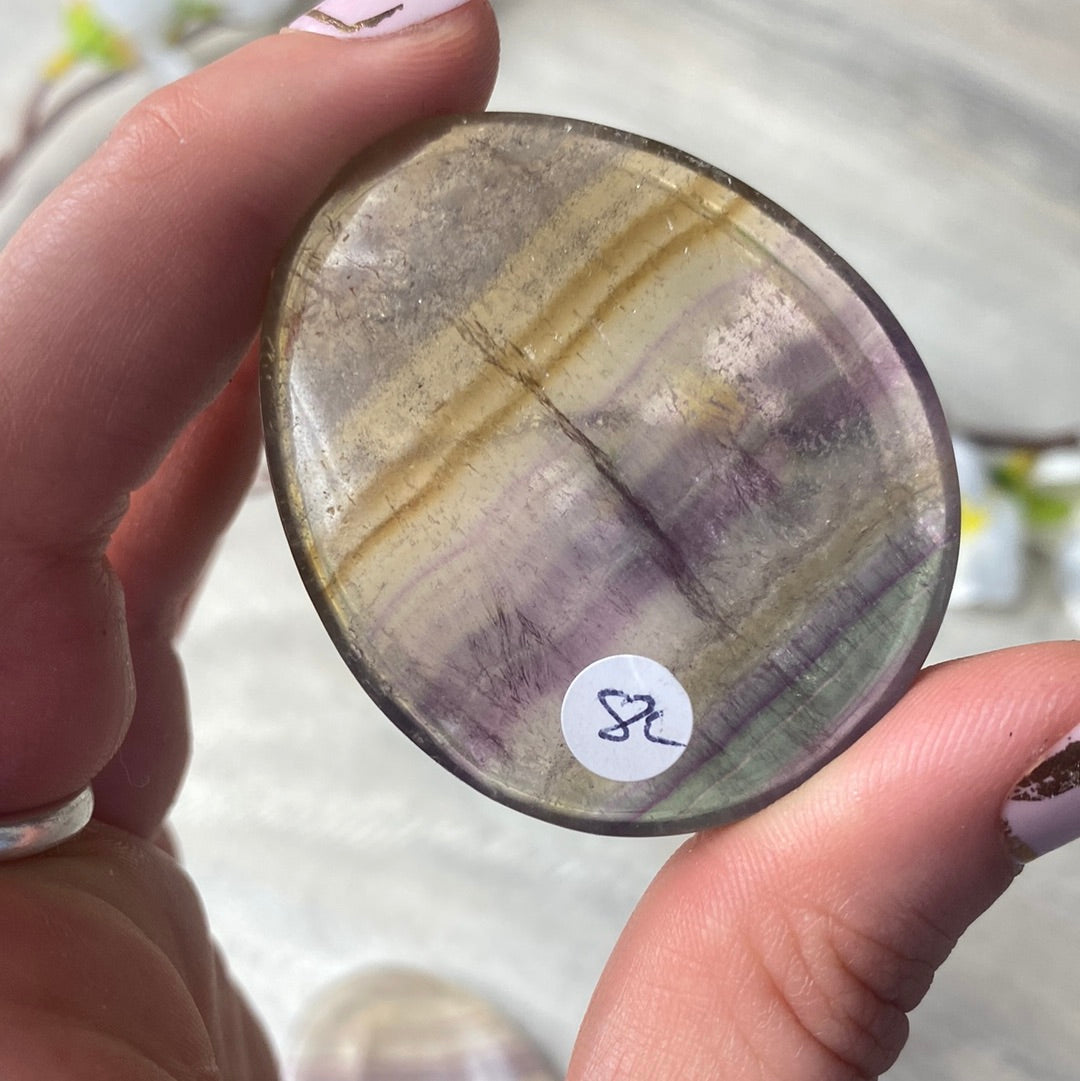 Fluorite Worry Palm