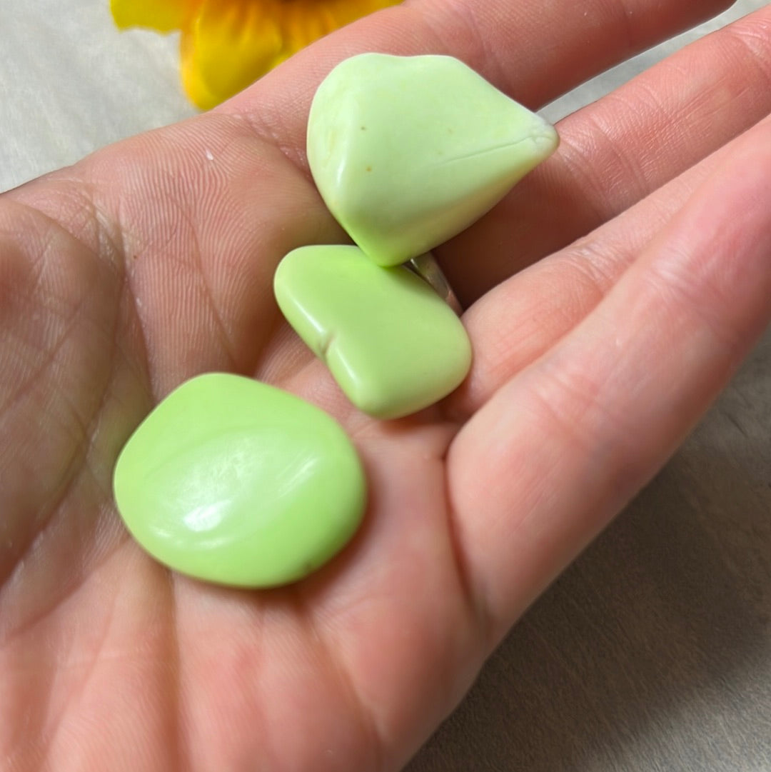 Citron Lemon Chrysoprase Tumblestone