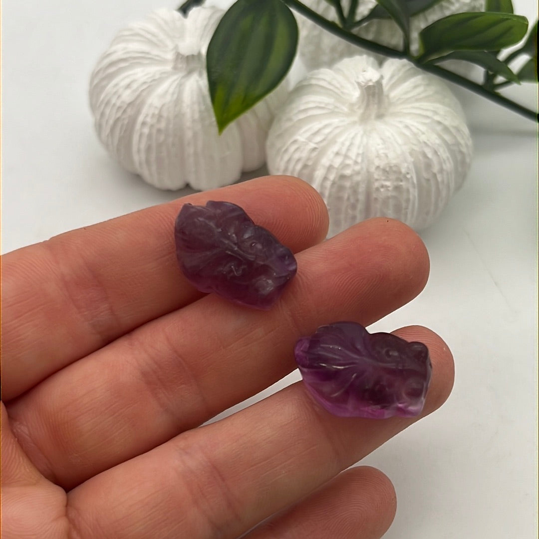 Mini Fluorite Fish