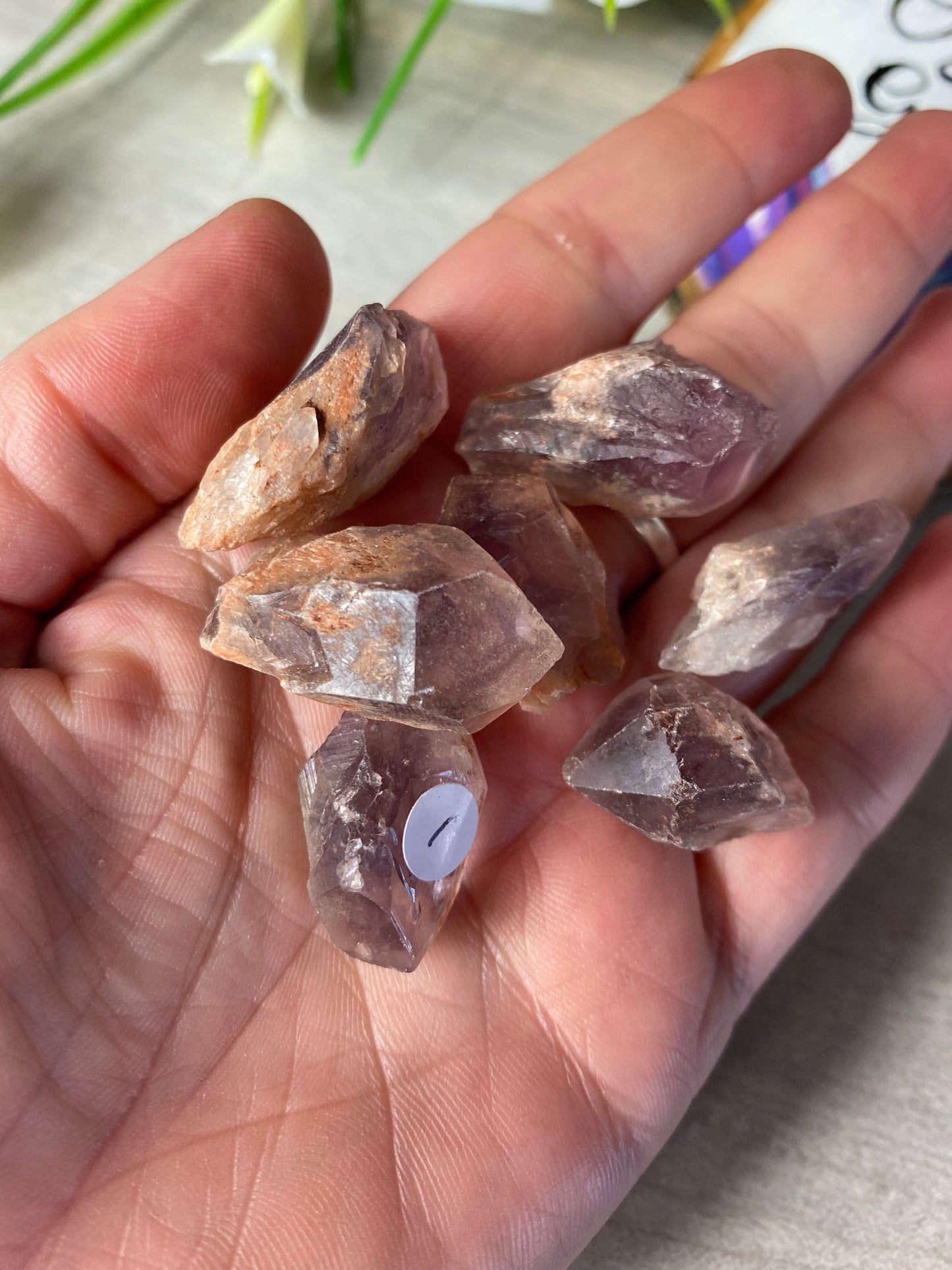 Mini Amethyst Phantom Root Tooth tumble tumblestone