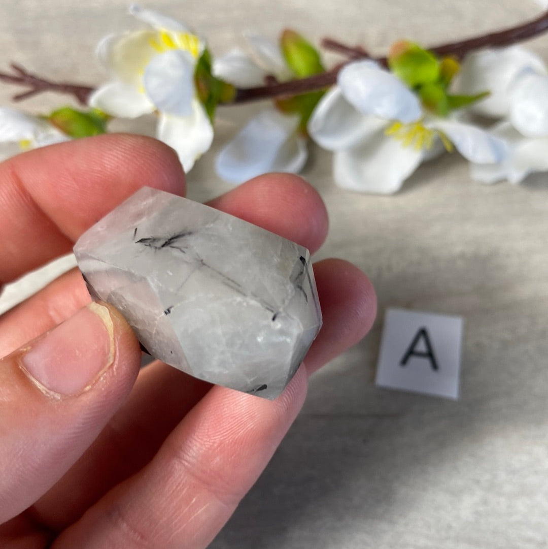 Black Tourmaline in Quartz DTs