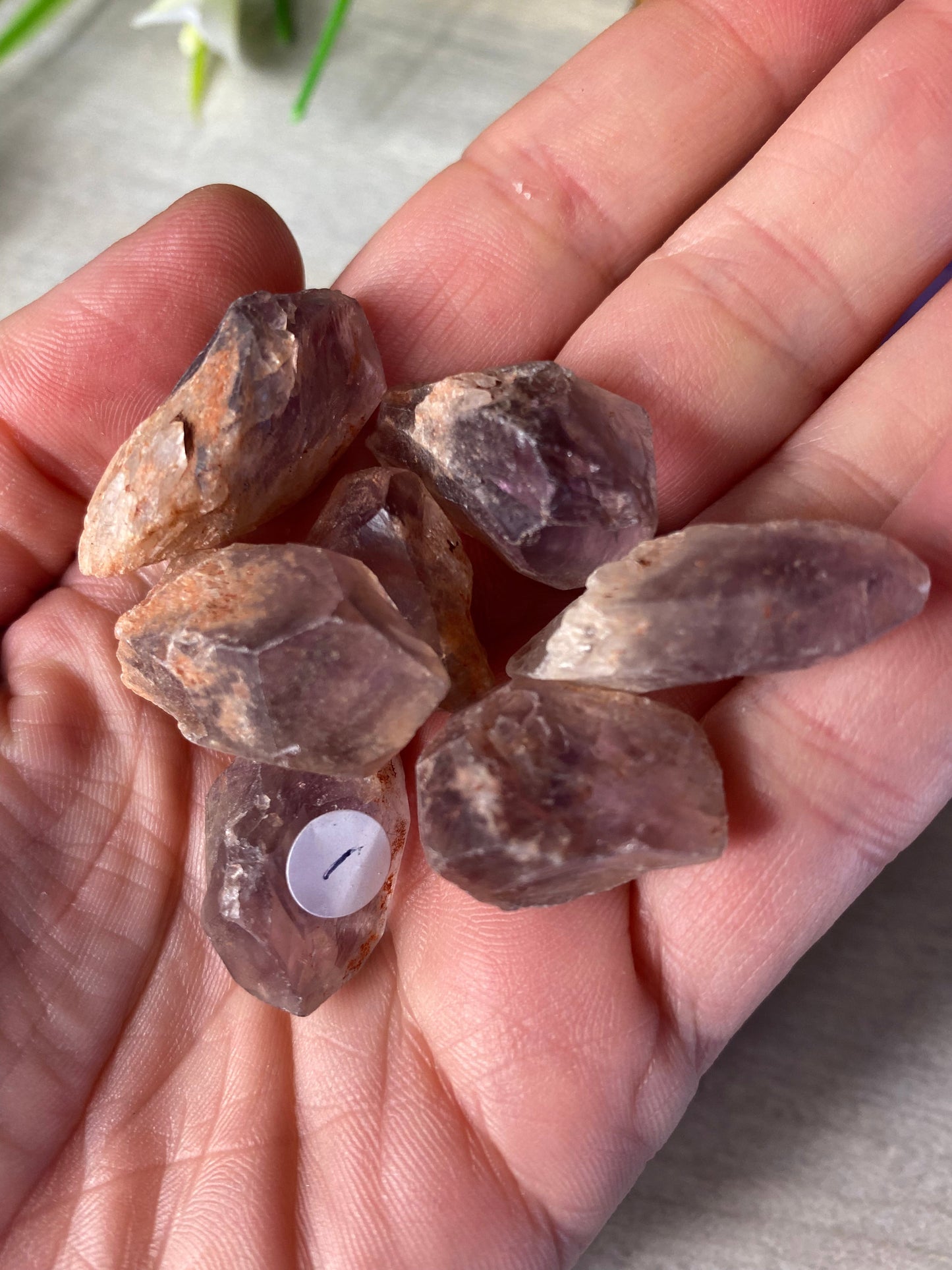 Mini Amethyst Phantom Root Tooth tumble tumblestone