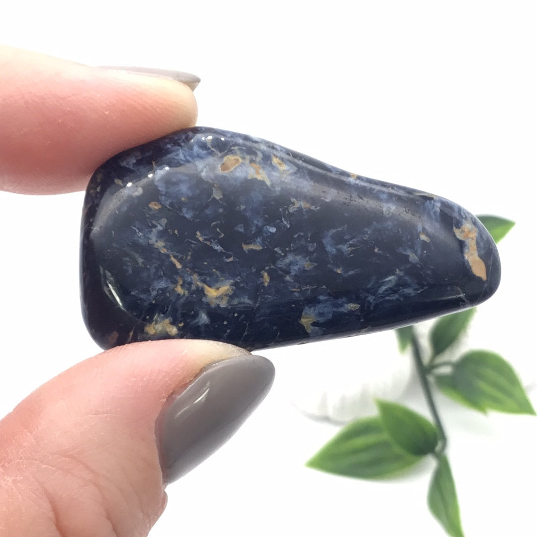 XL Pietersite Pebble Tumblestone