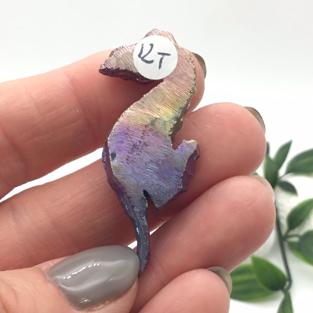 Bismuth Seahorse