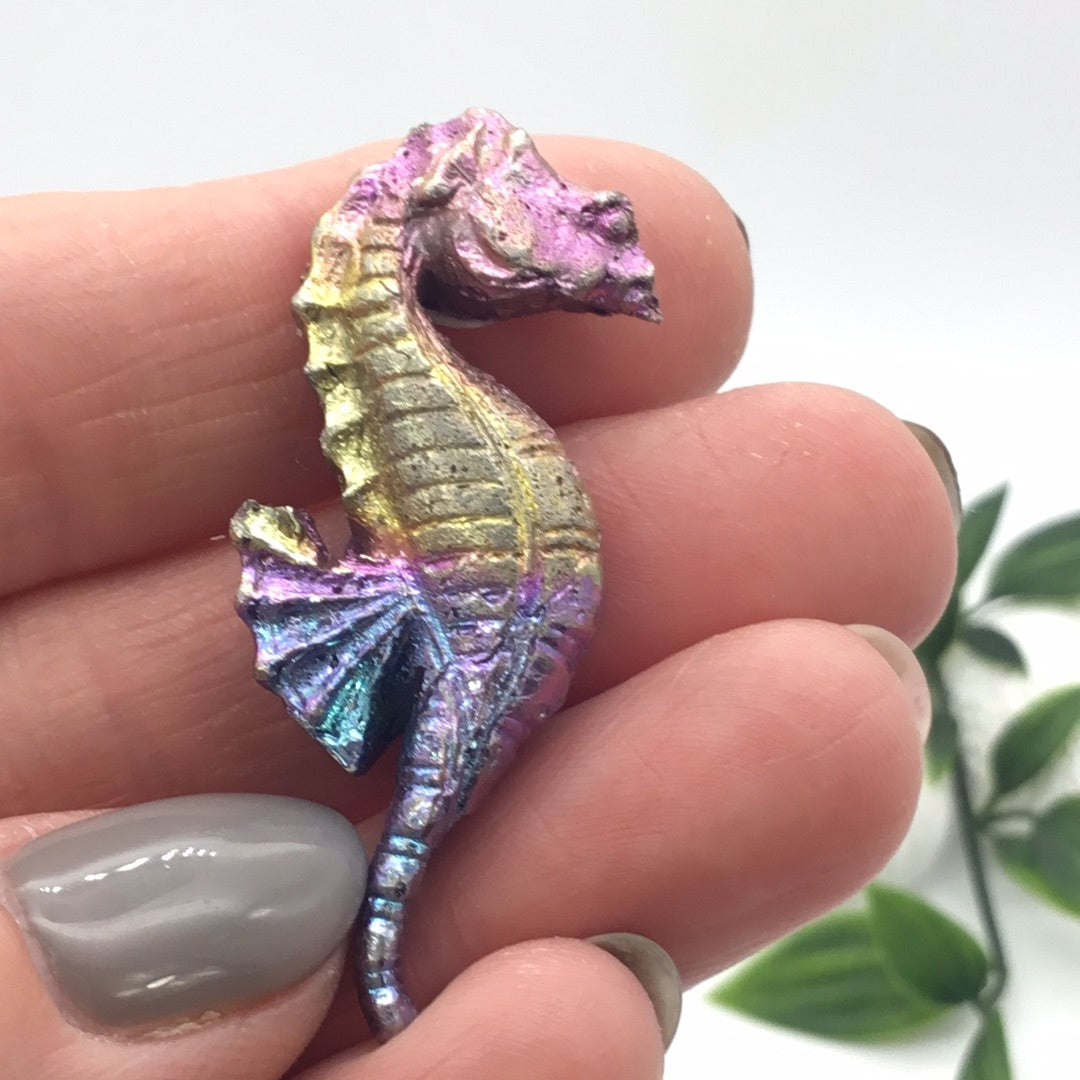 Bismuth Seahorse