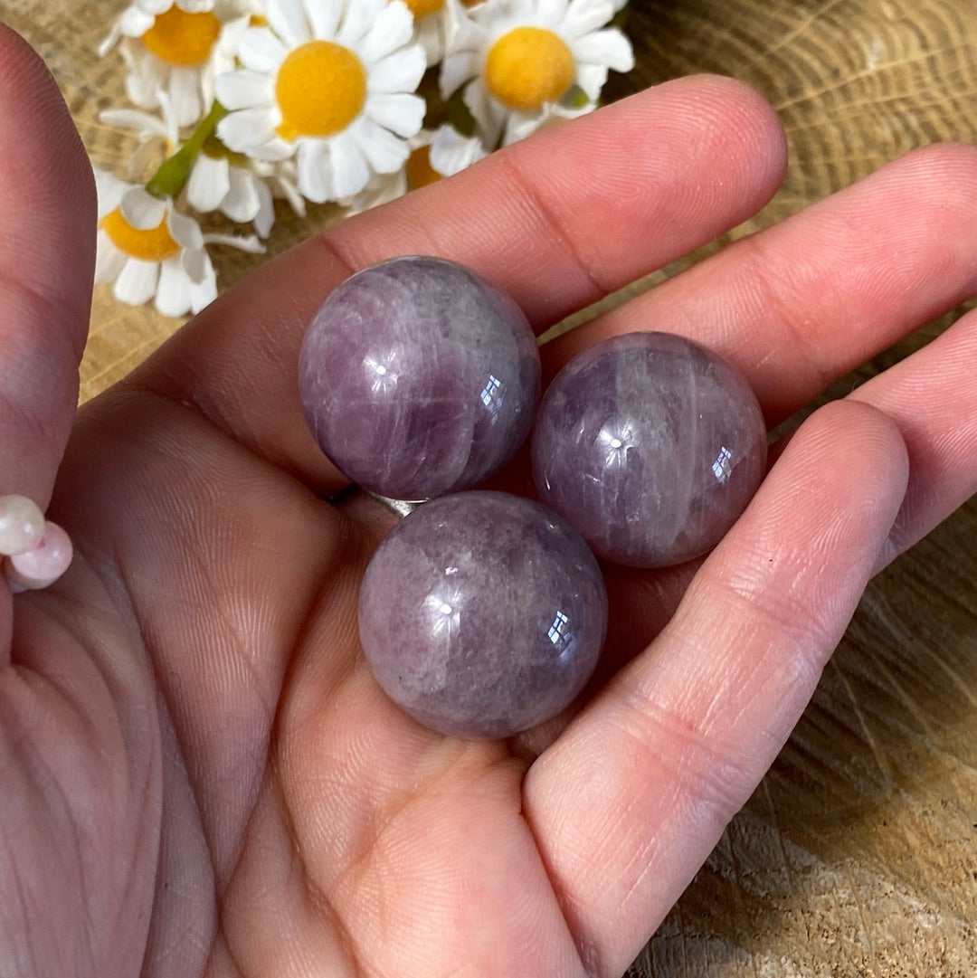 Small Lavender Rose Sphere