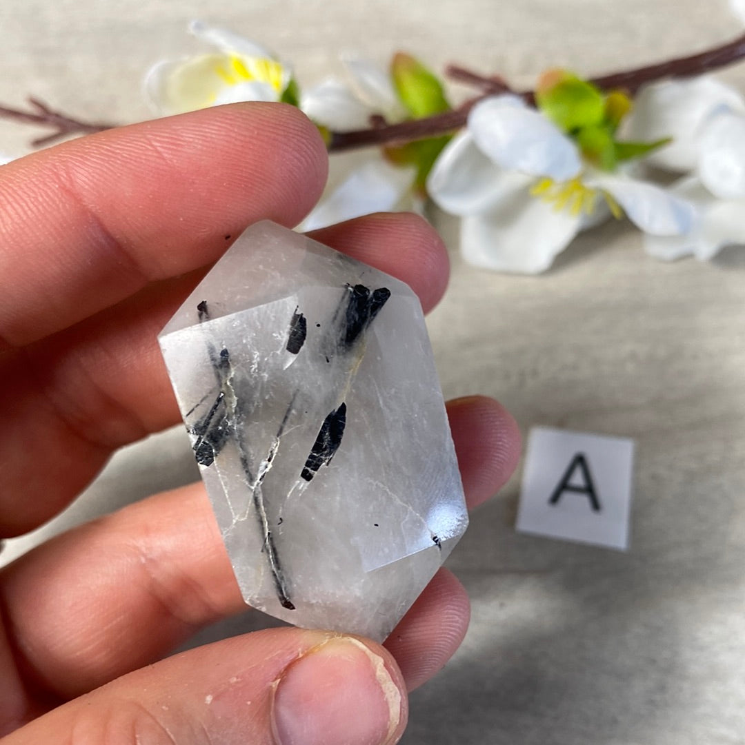 Black Tourmaline in Quartz DTs