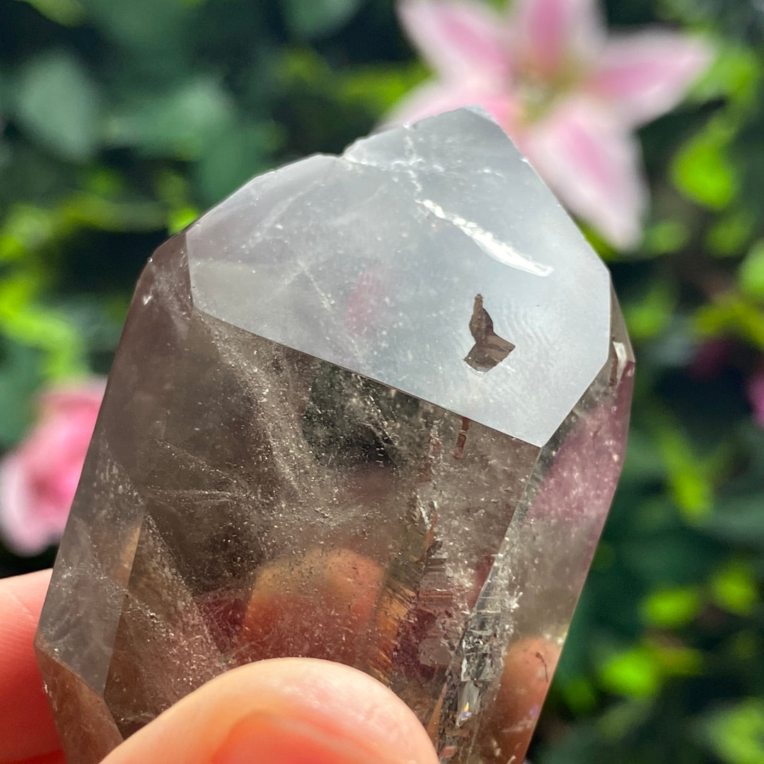 Smoky Quartz DT