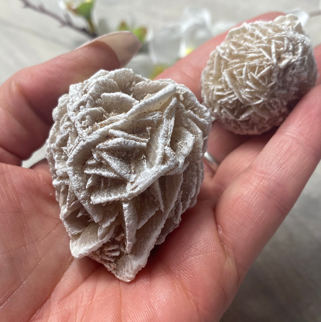 Desert Rose Selenite