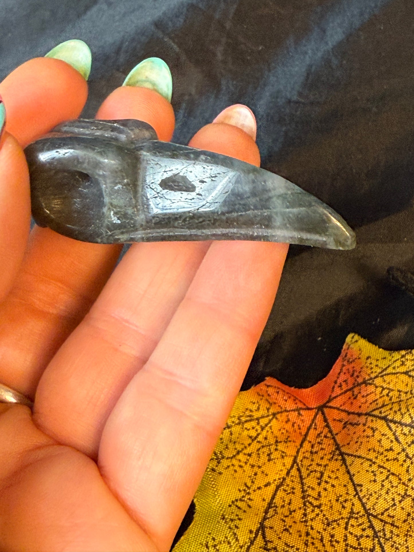 Raven Crow Skulls