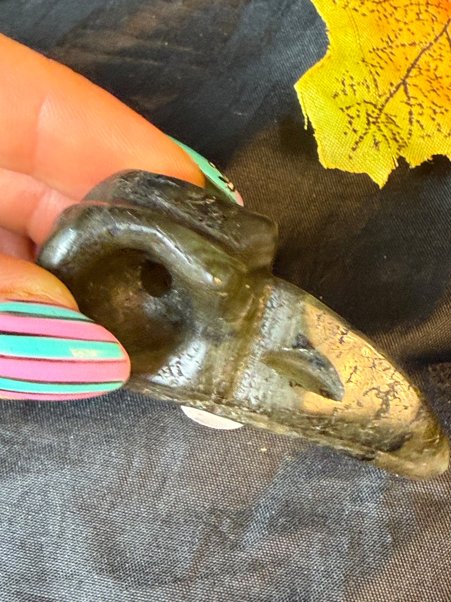 Raven Crow Skulls