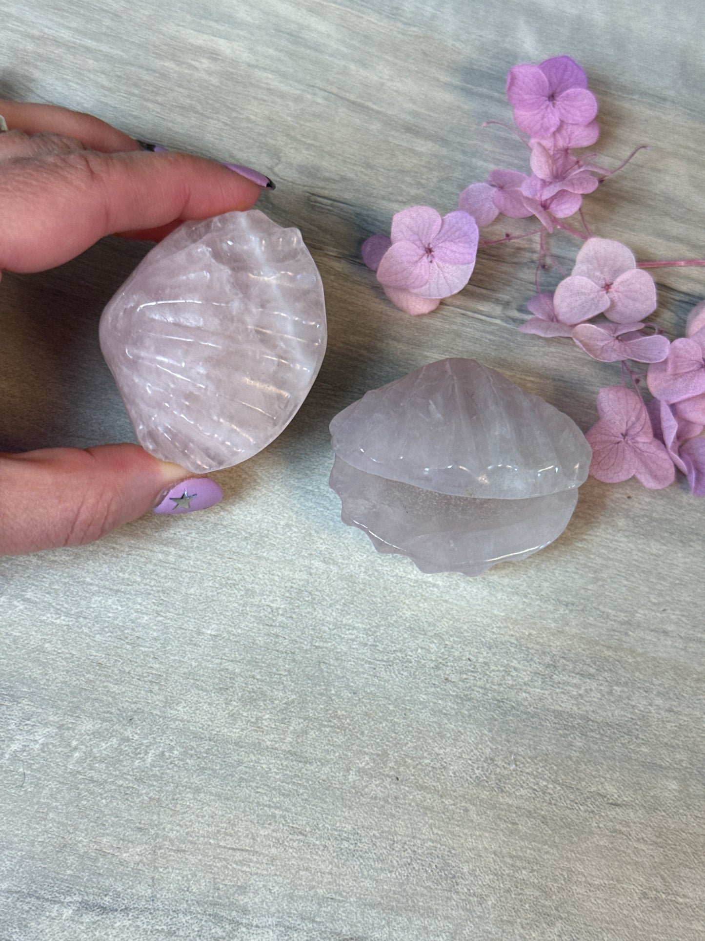 Rose Quartz Sea Shell