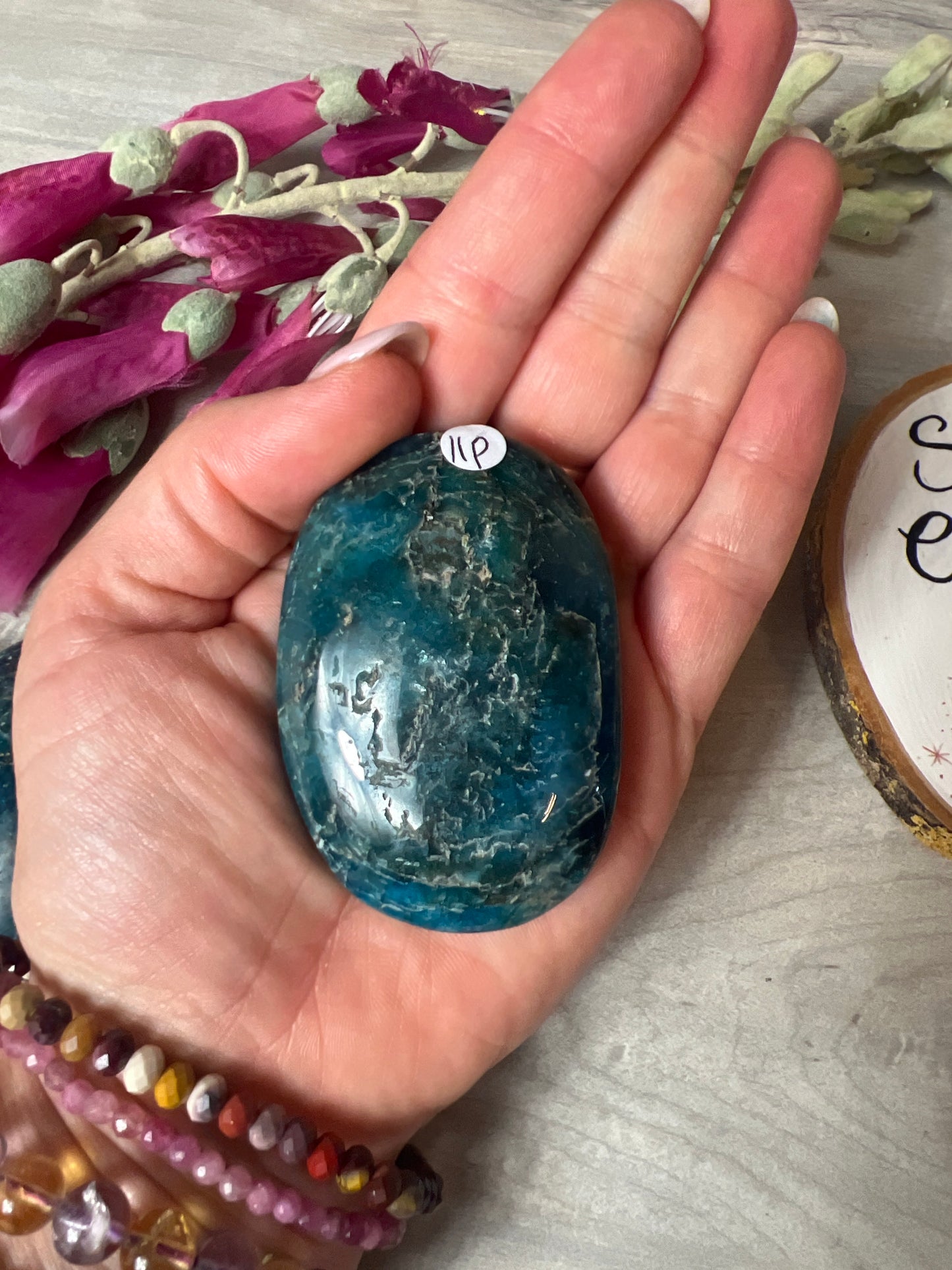 Apatite Palm