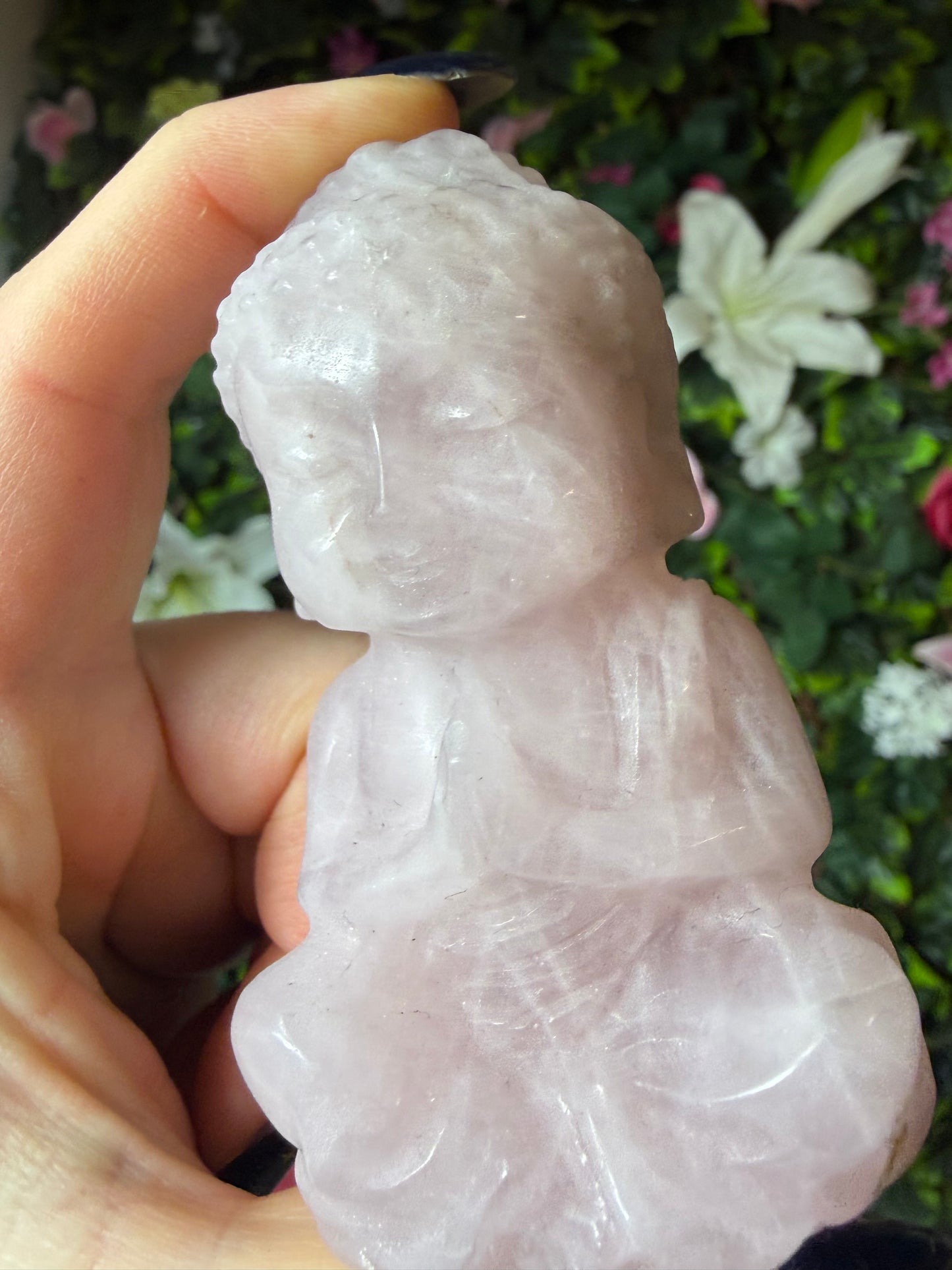 Rose Buddha