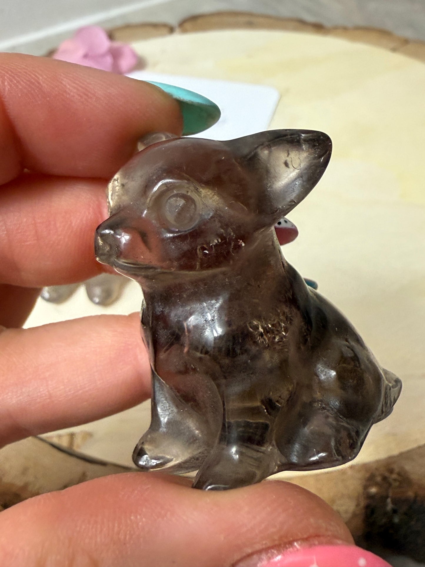 Smoky Dog / Chihuahua