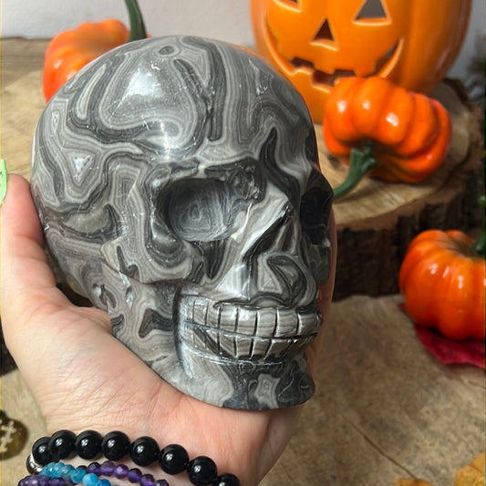 XL Map Jasper Skull