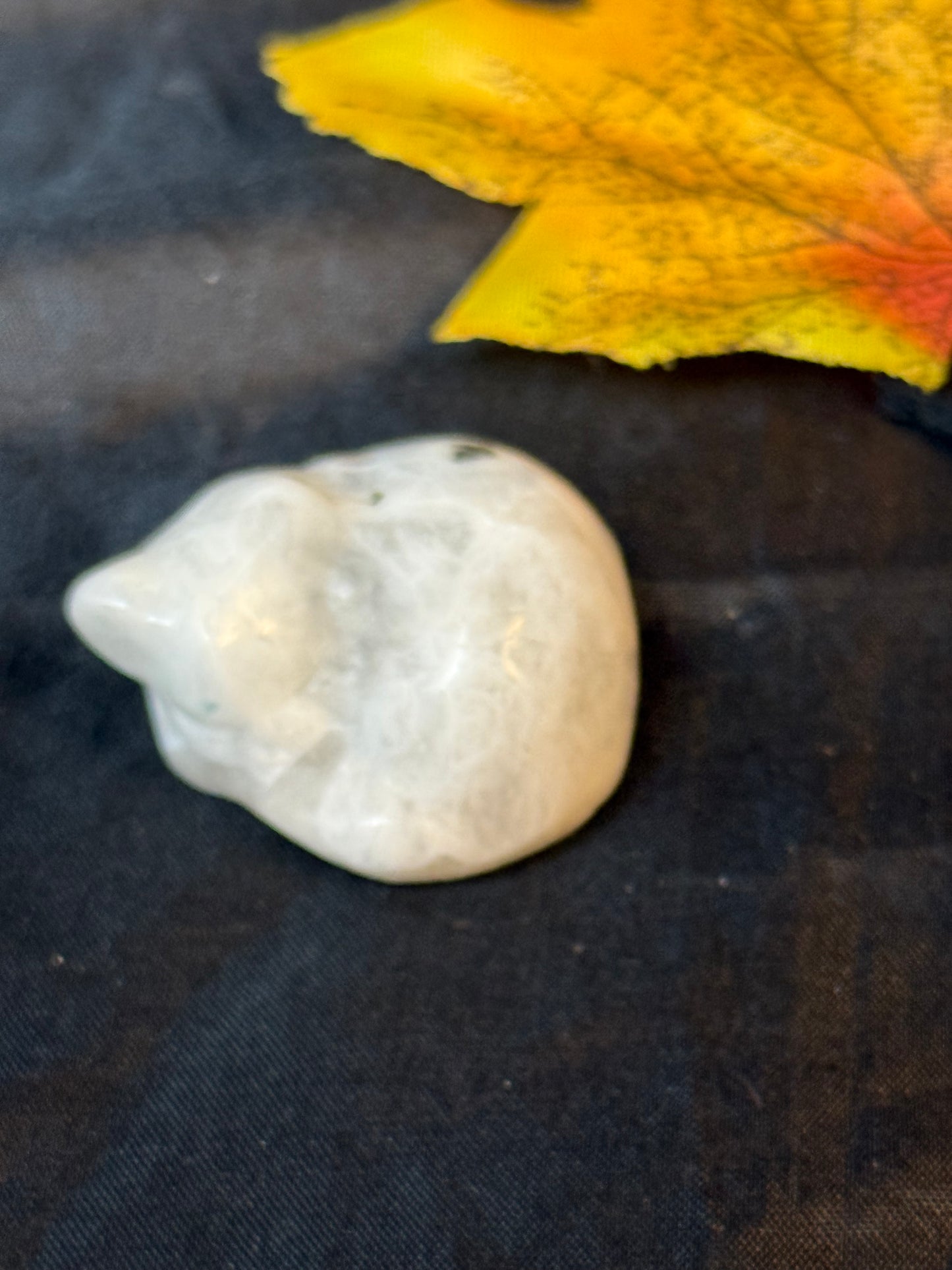 Sleeping Cat - Moonstone