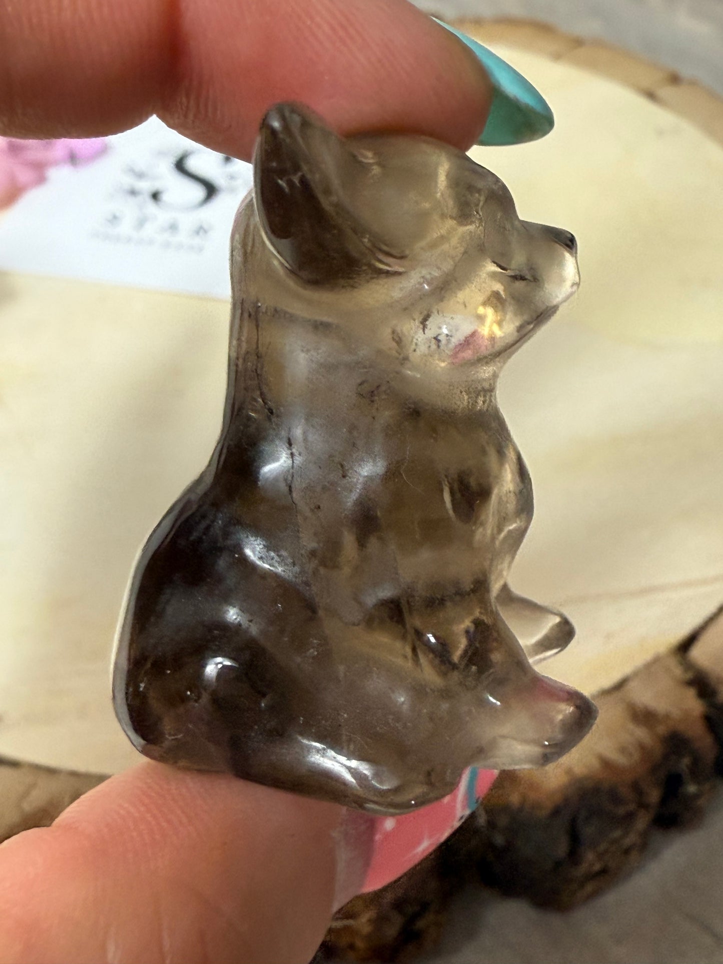 Smoky Dog / Chihuahua