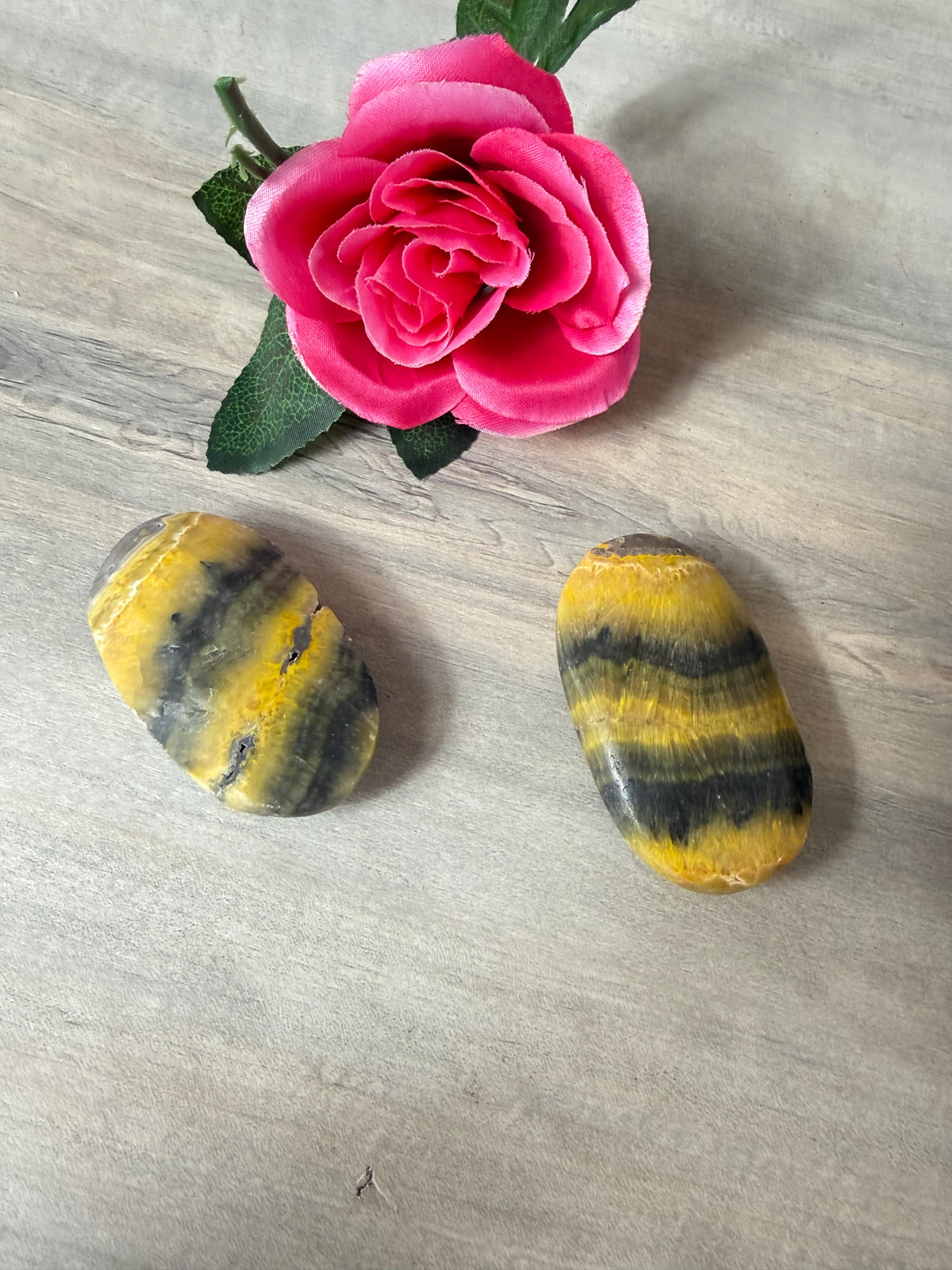 Bumblebee Large Palm