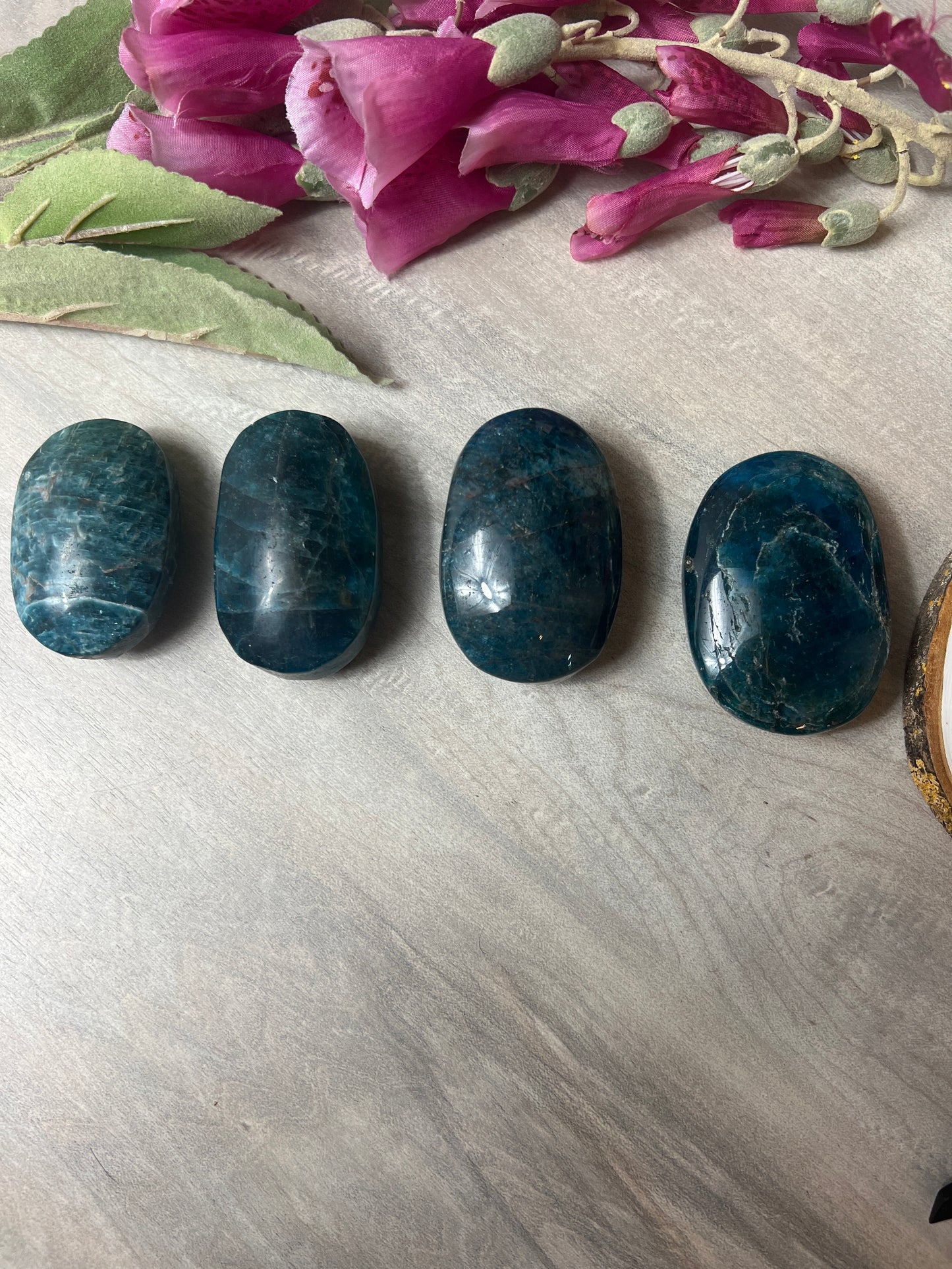 Apatite Palm