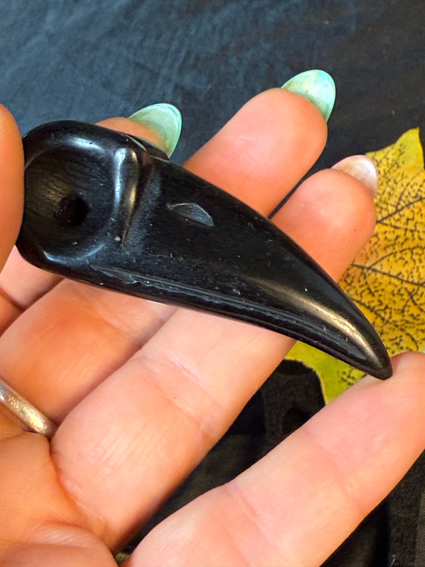 Raven Crow Skulls