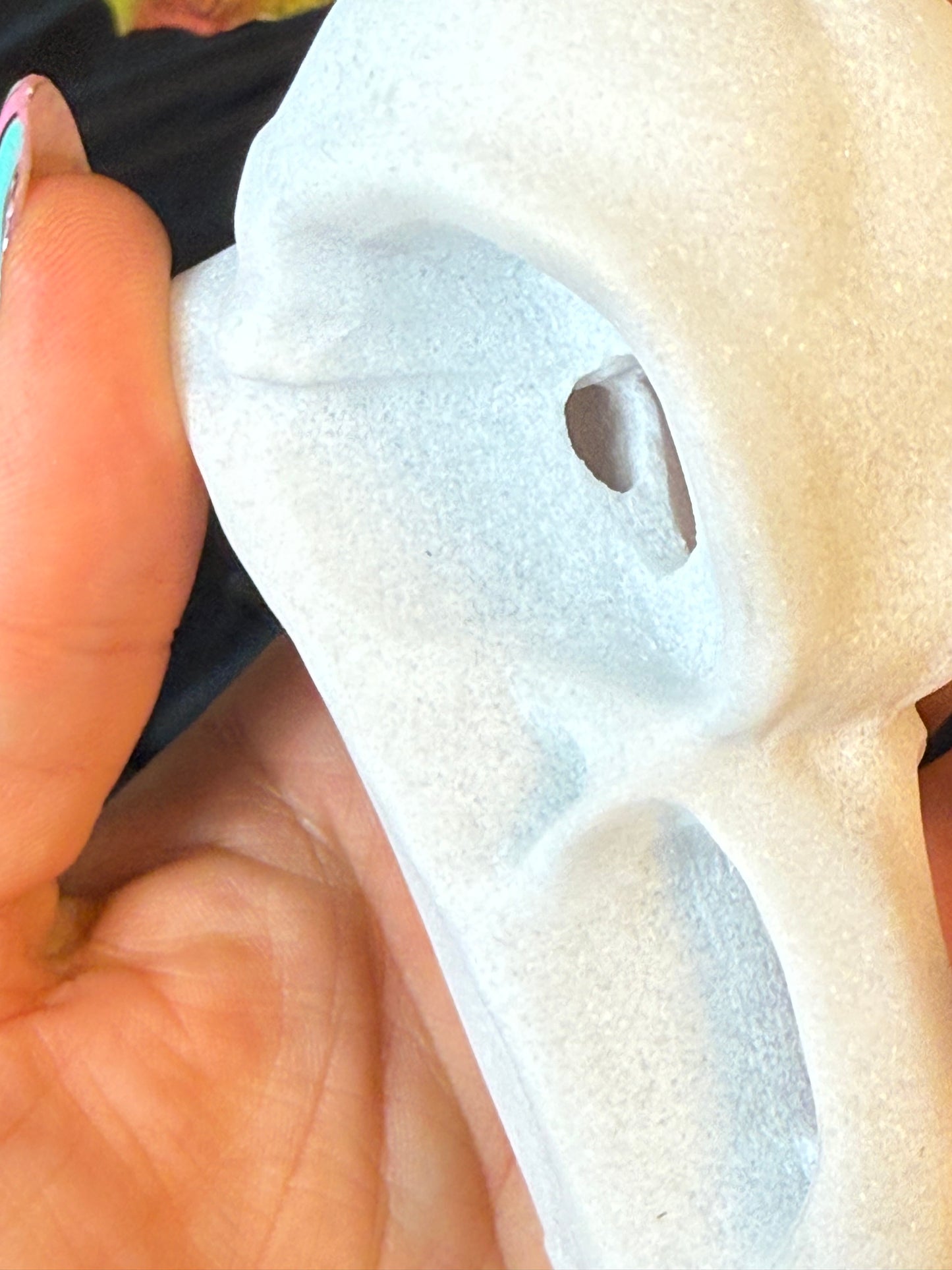 Large Raven Crow Skull