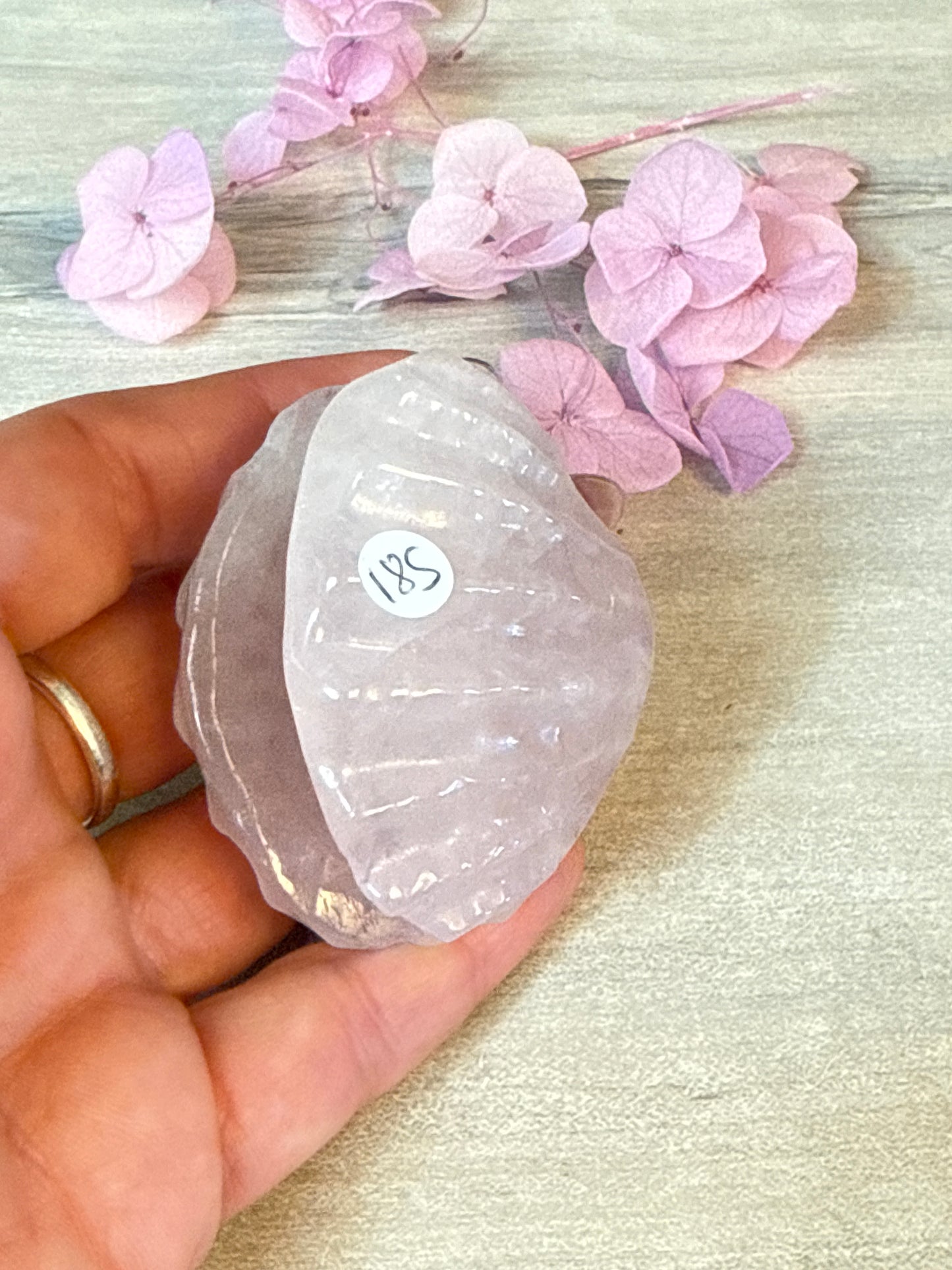 Rose Quartz Sea Shell