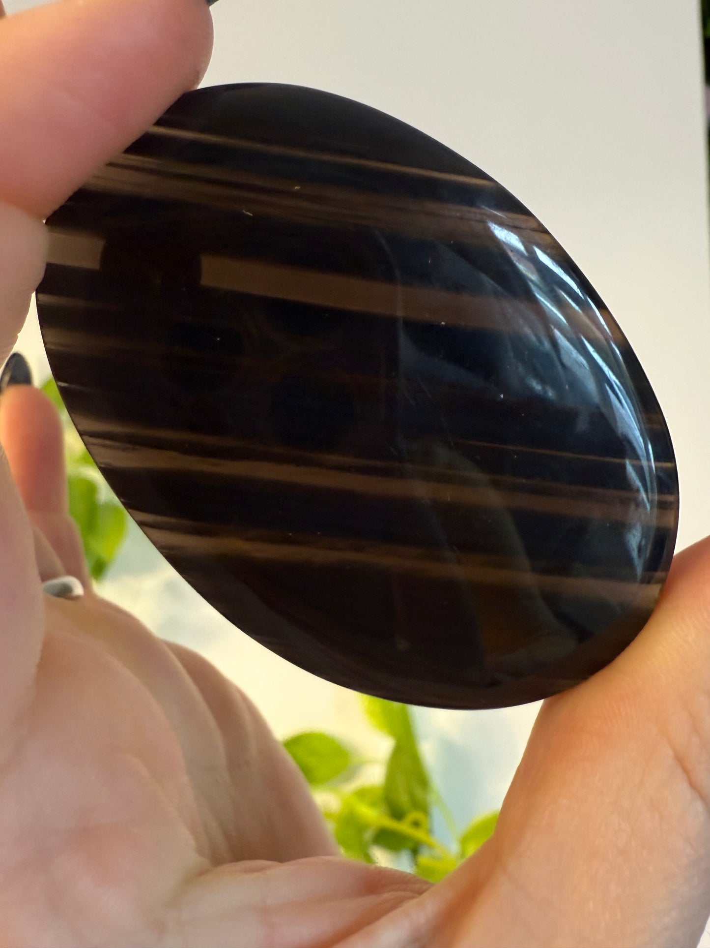 Midnight Lace Obsidian Palm