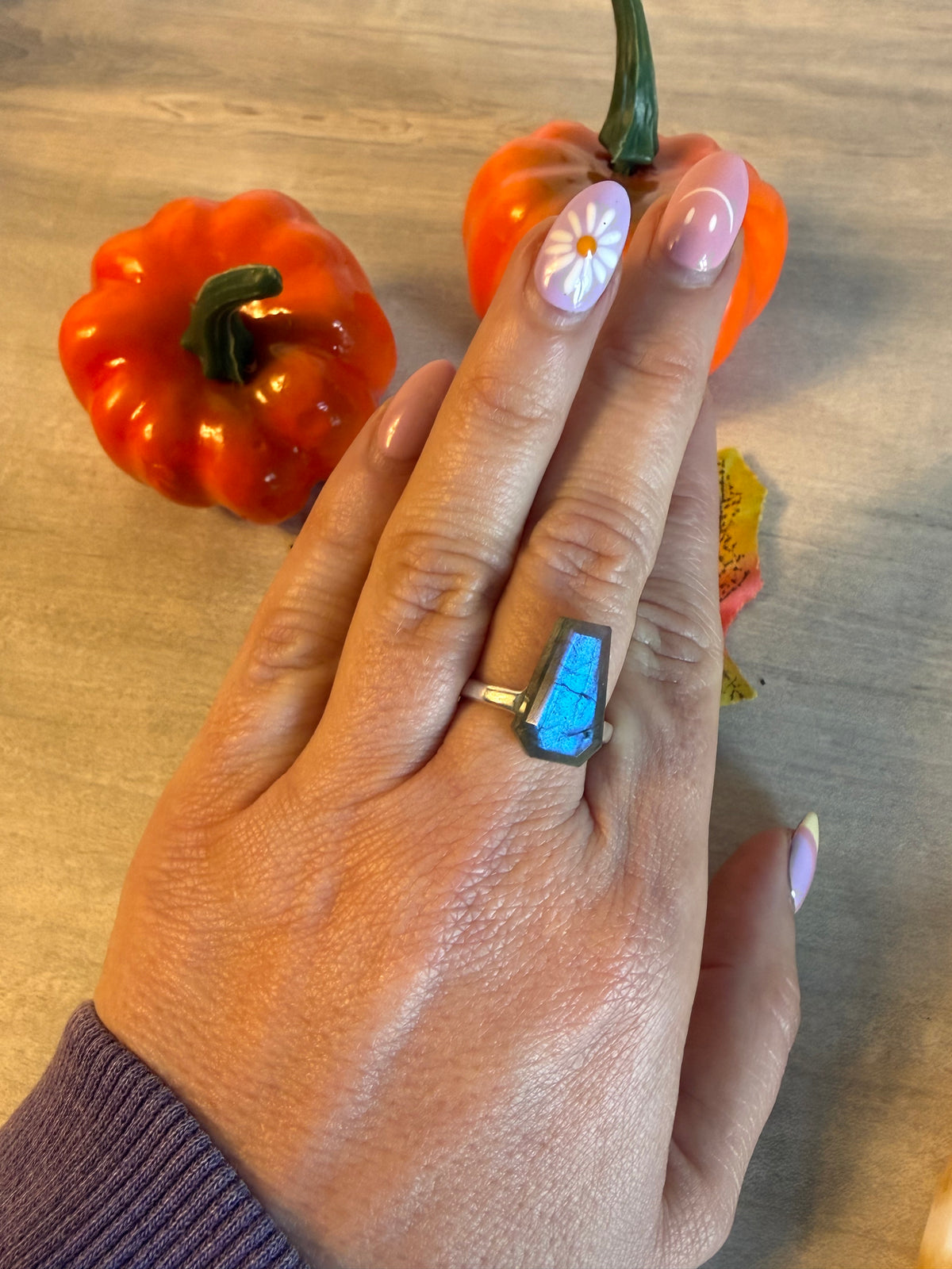 Handmade Lab Coffin Adjustable 925 Silver Ring
