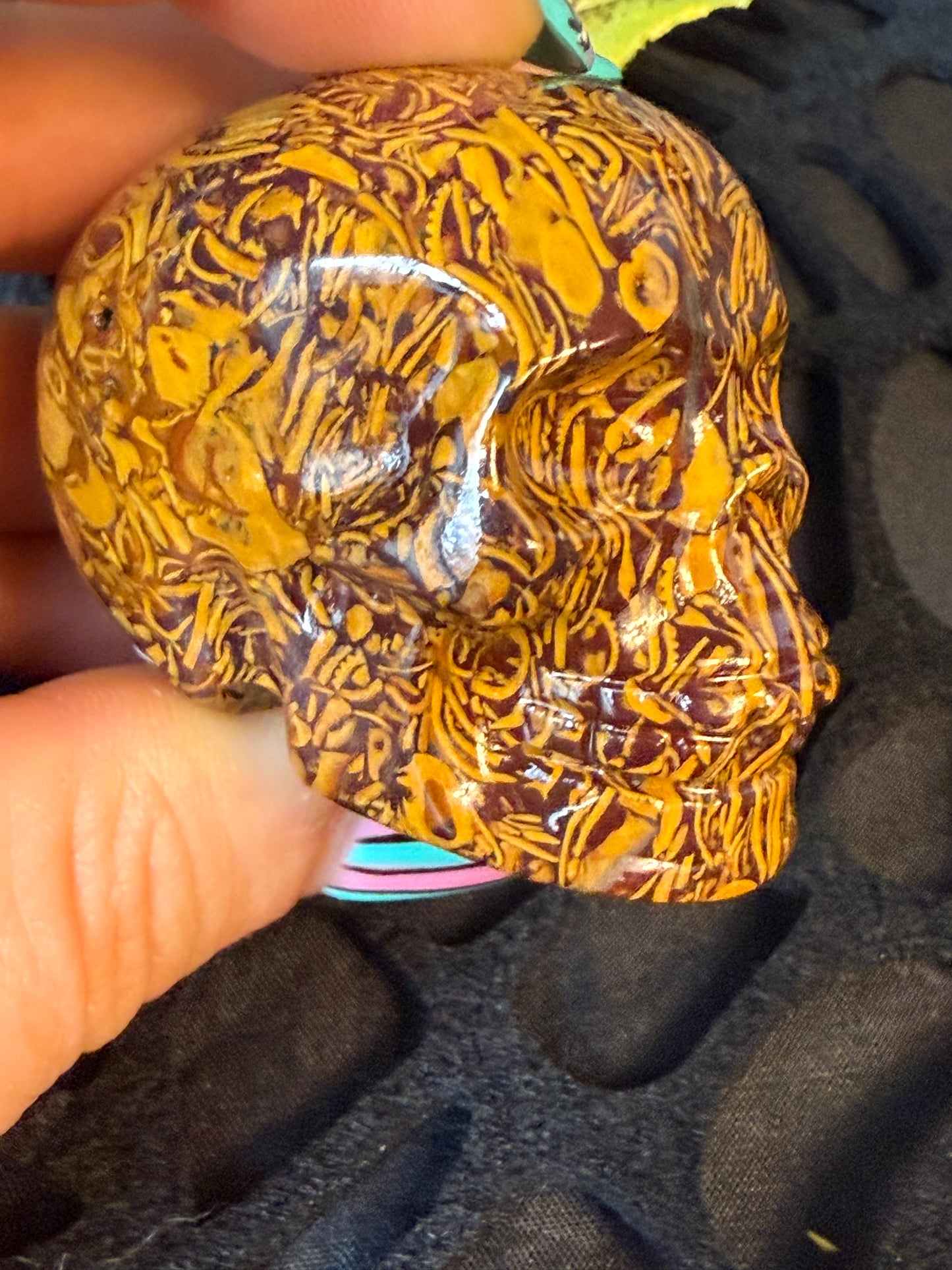 Sanskrit Skull