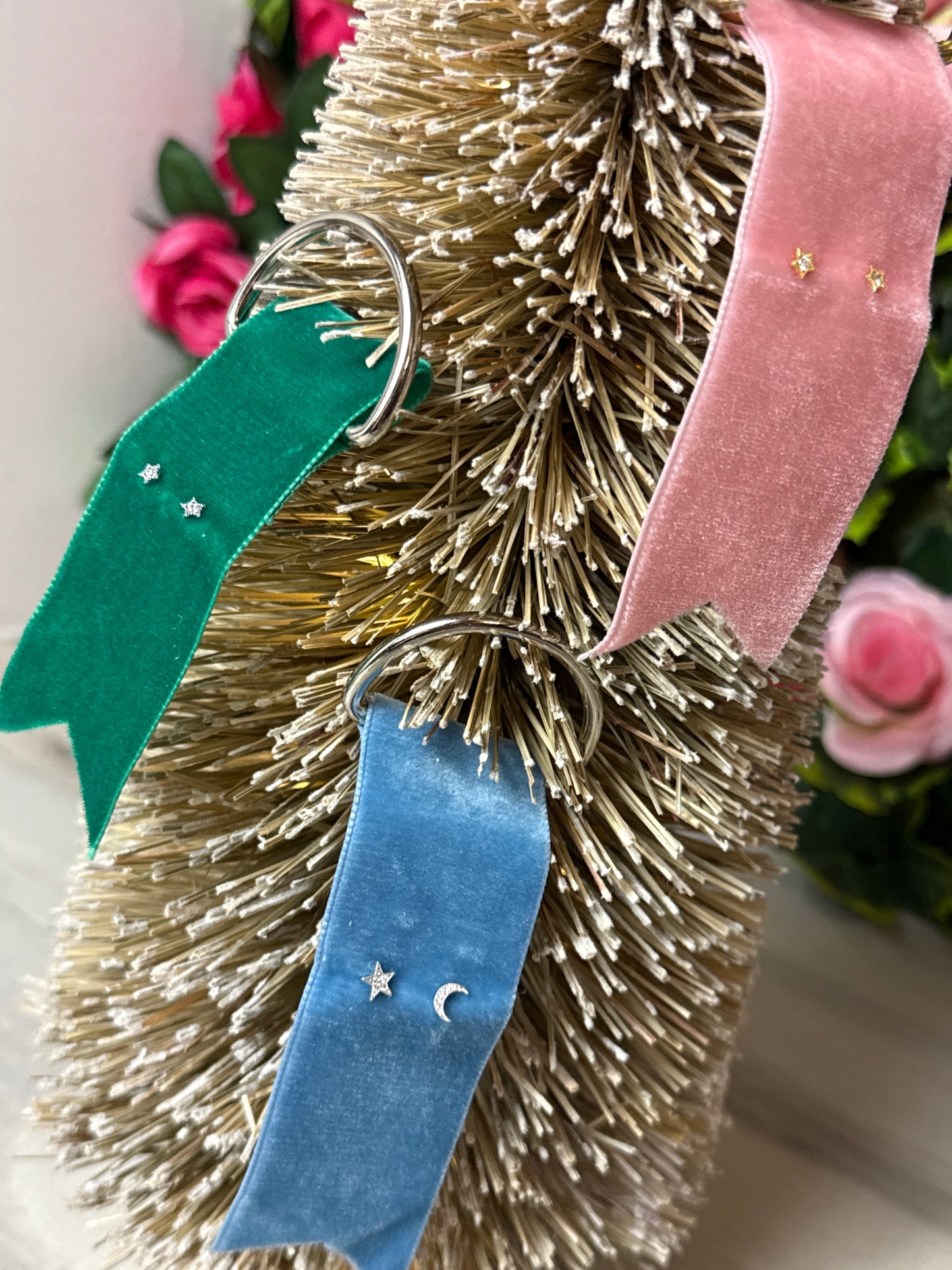 Celestial 925 Earrings Studs