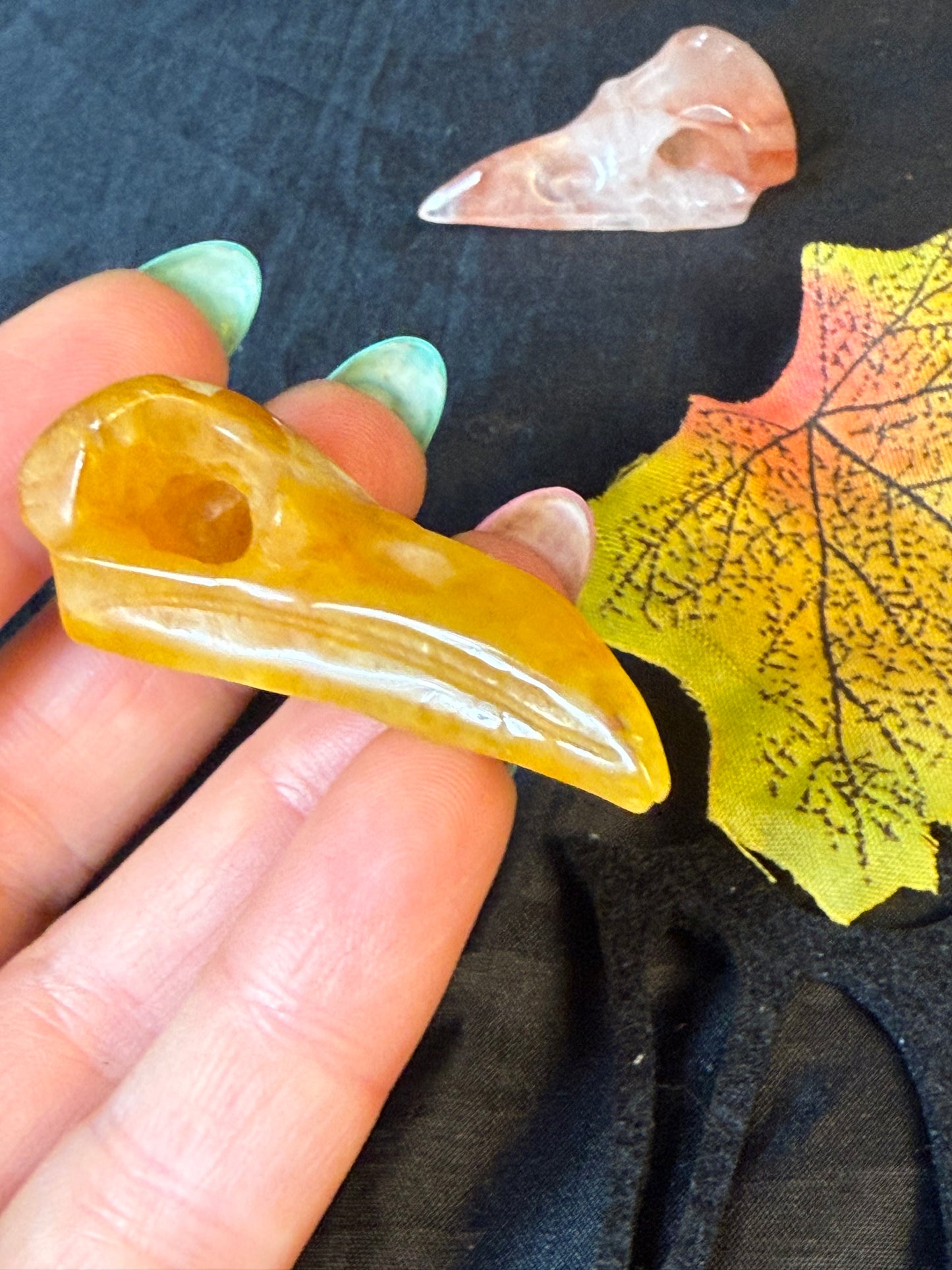 Raven Crow Skulls