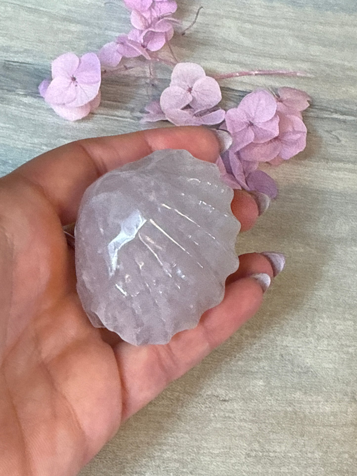 Rose Quartz Sea Shell