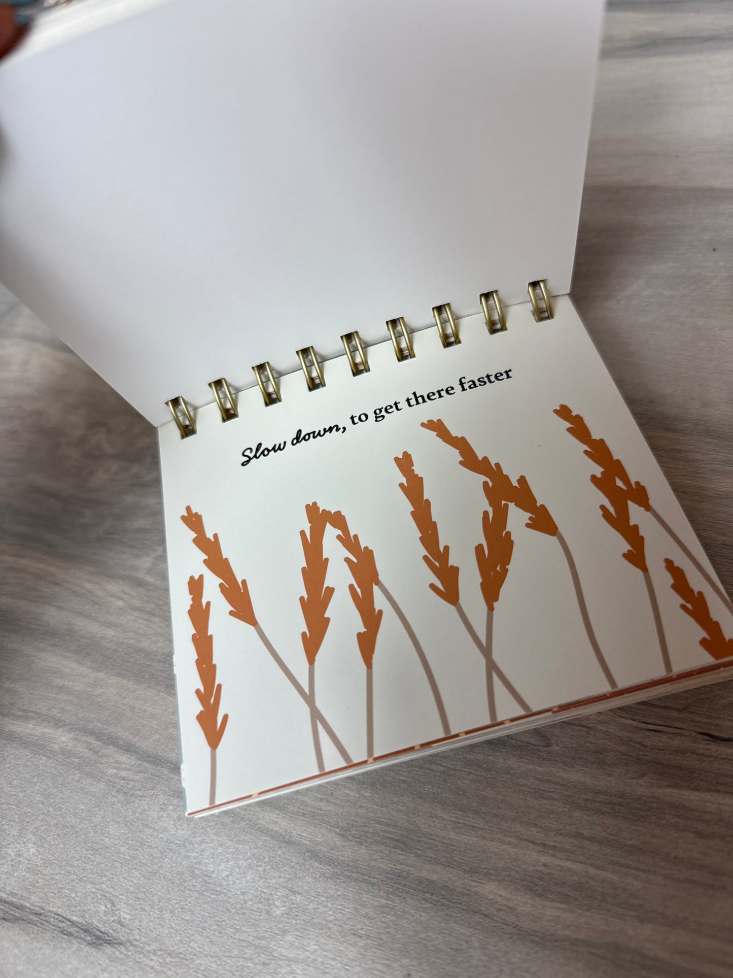 Mindfulness Daily flip chart