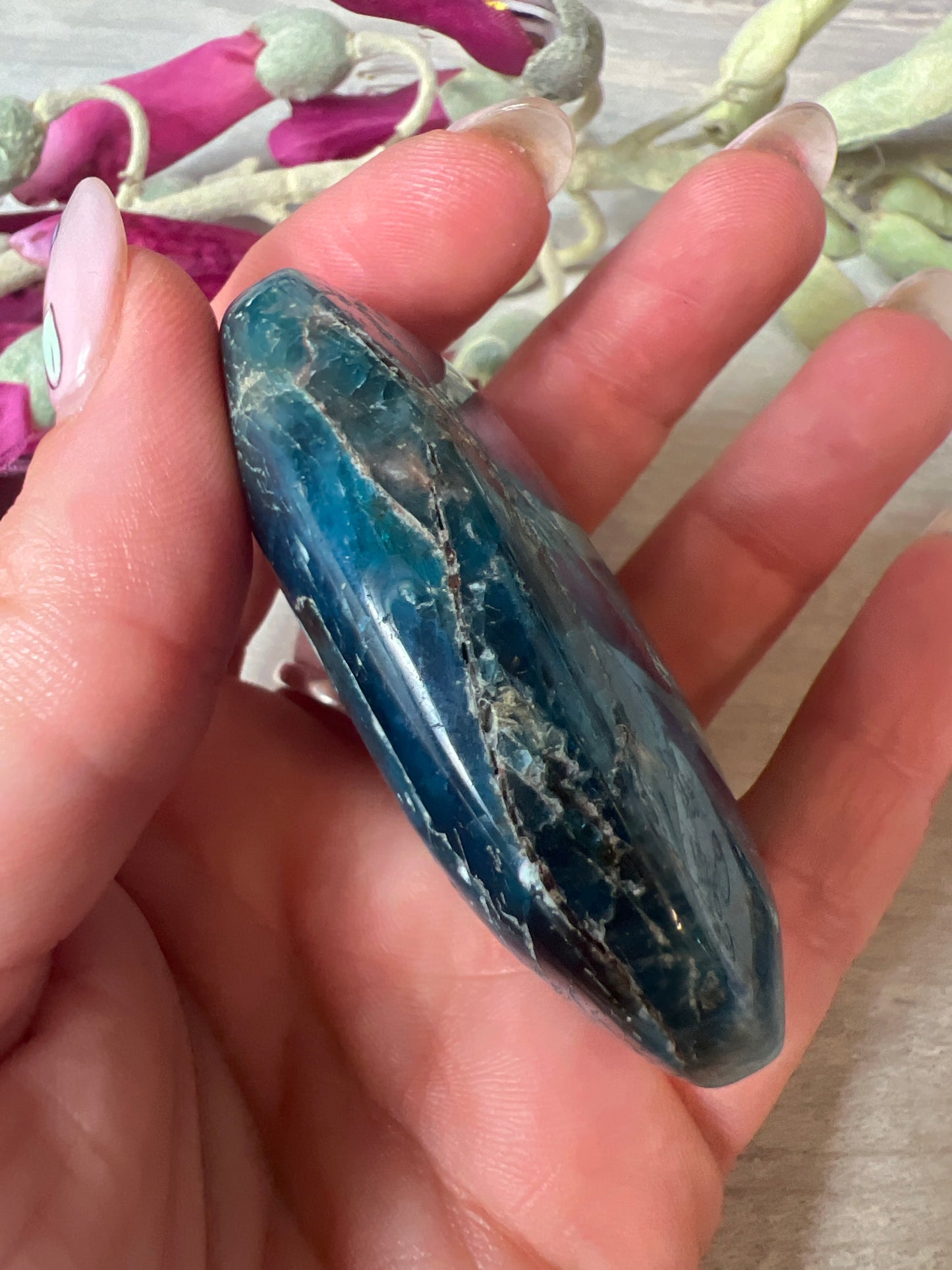 Apatite Palm