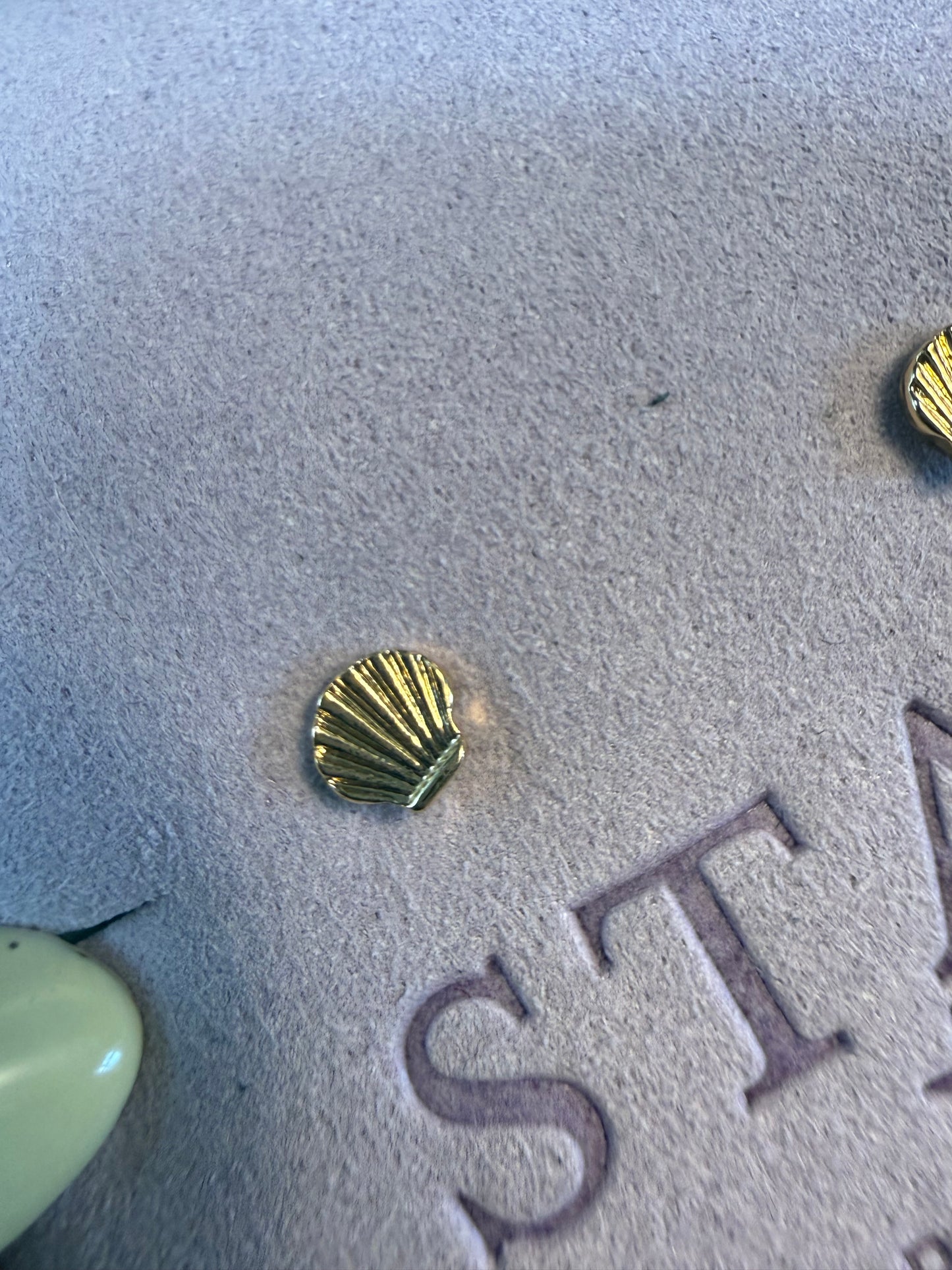 Mini Seashell Stud Earrings