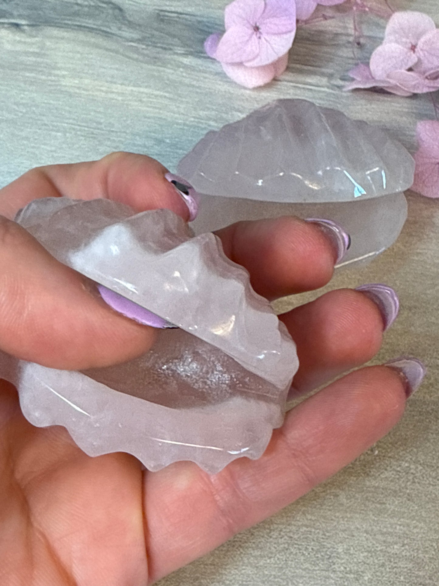 Rose Quartz Sea Shell