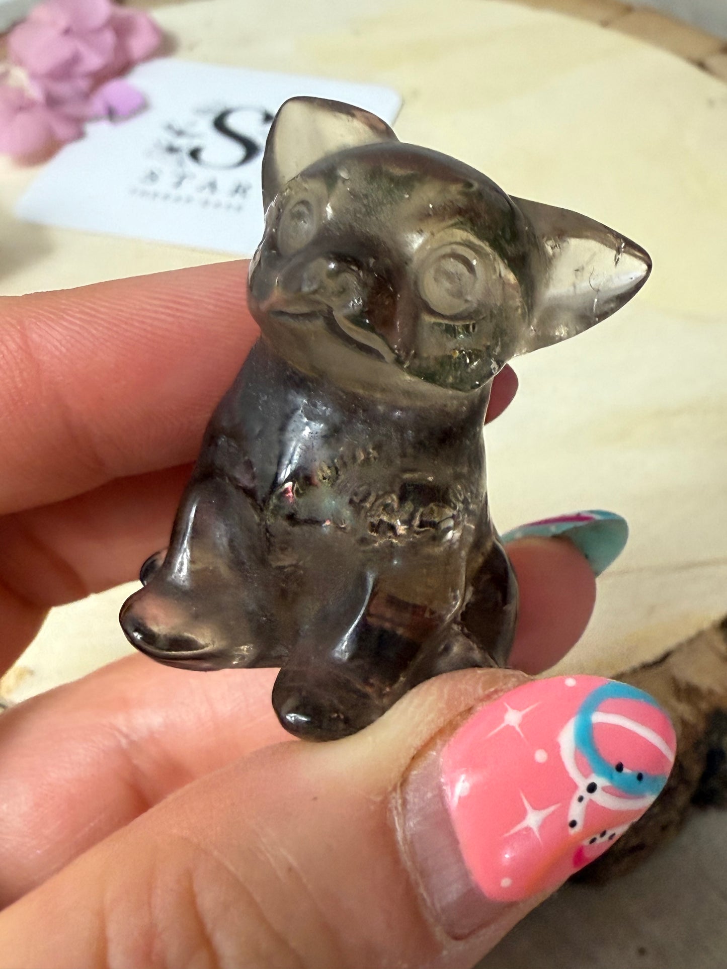 Smoky Dog / Chihuahua